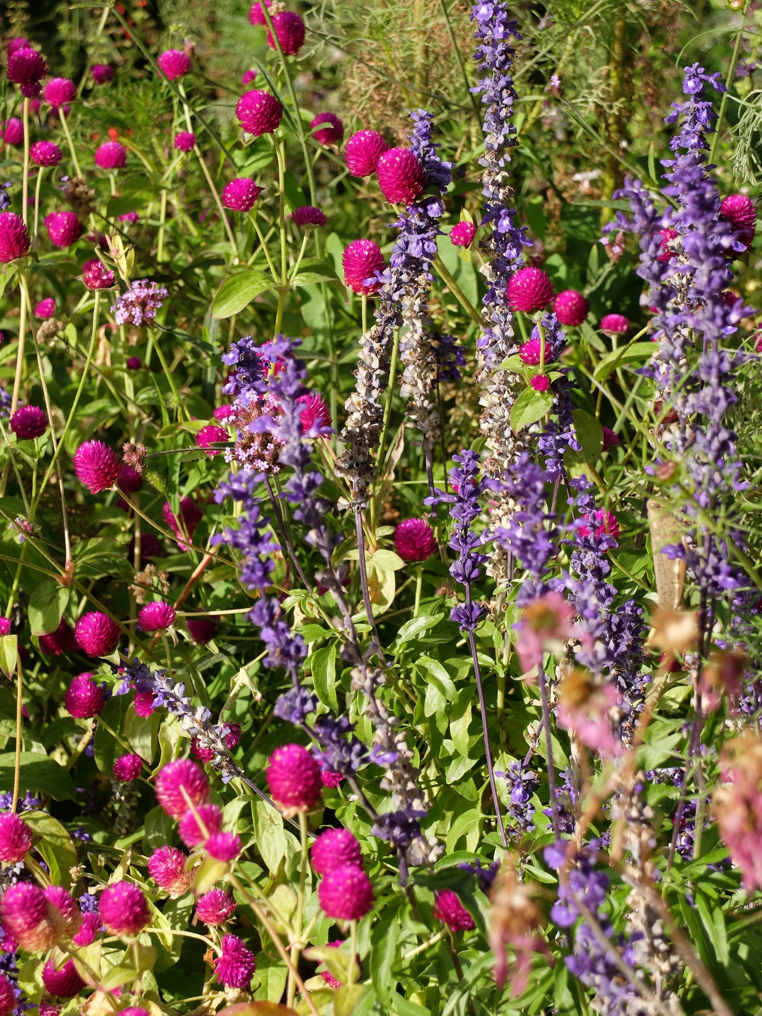 Spain 102022 842.JPG