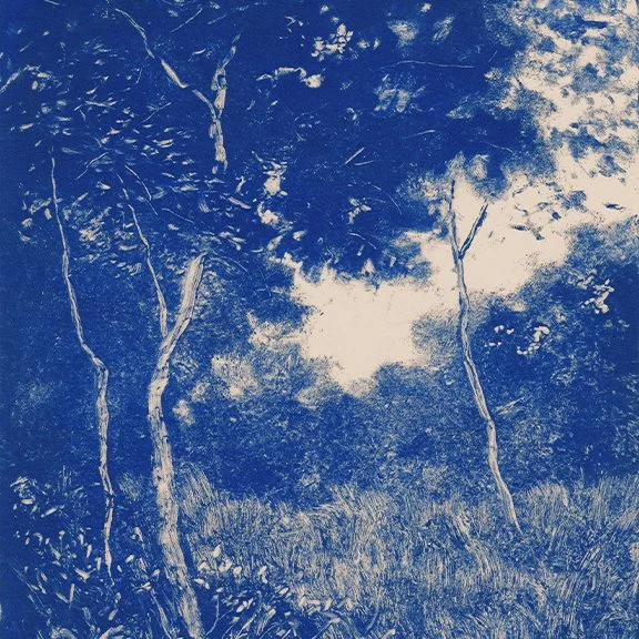 Arbolado Azul I
