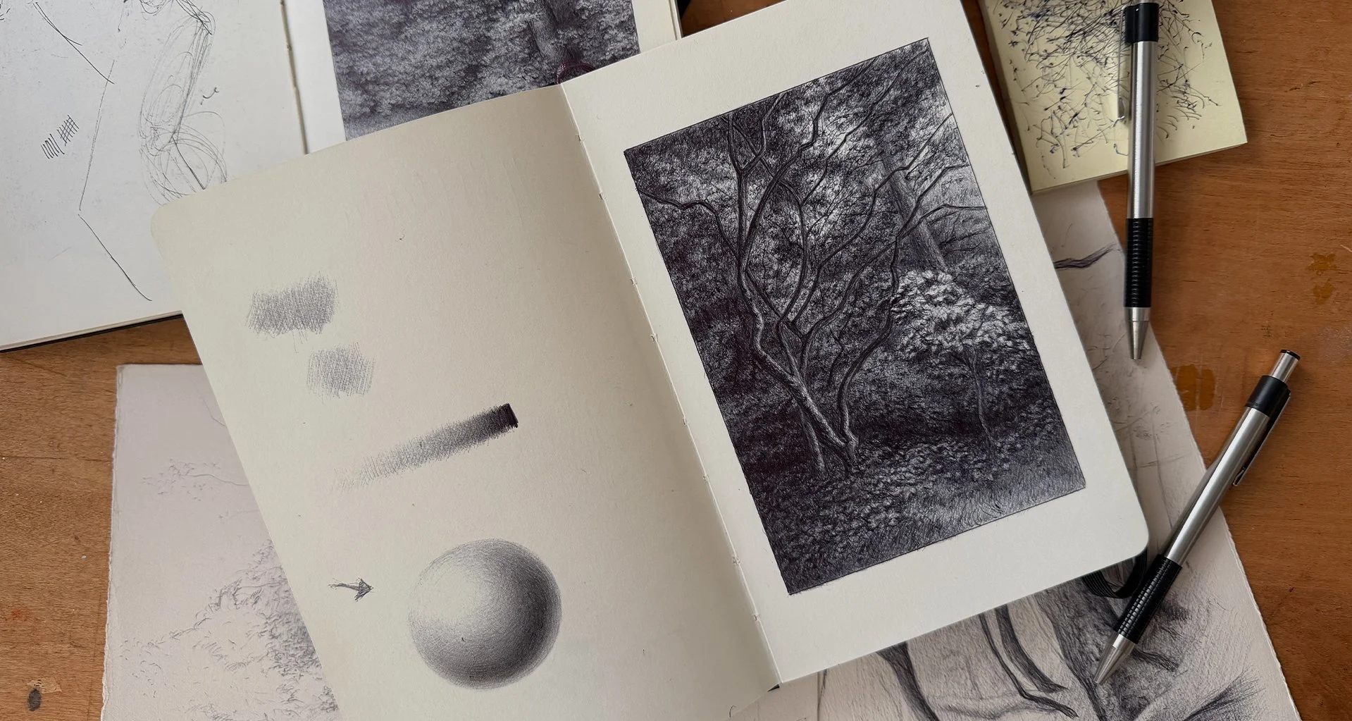 The Open Landscape: Atmosphere and Light with Ballpoint Pen