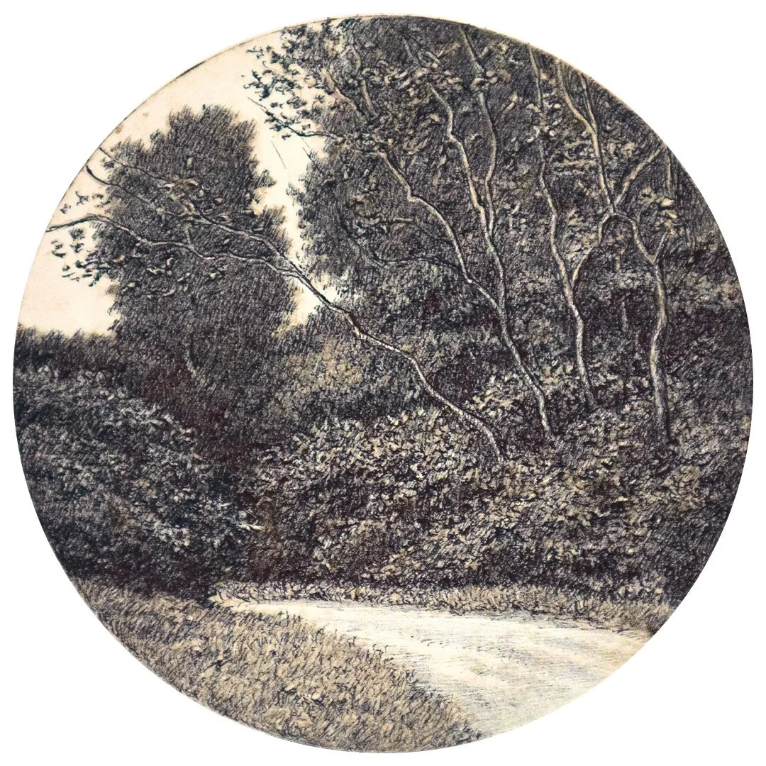 Tondo Drawing III: Along a Trail