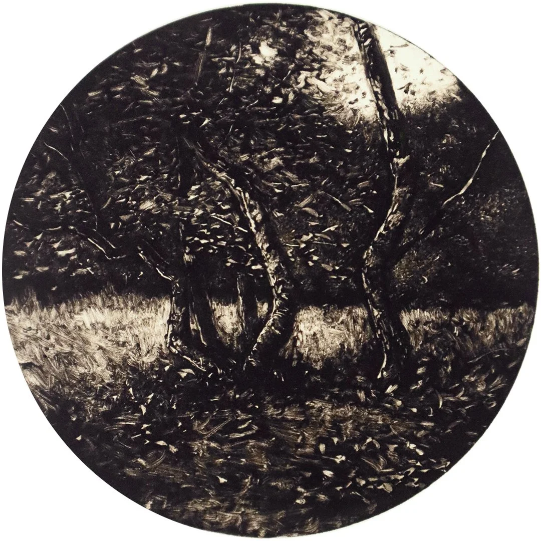 Tondo X: The Woods of Orquevaux