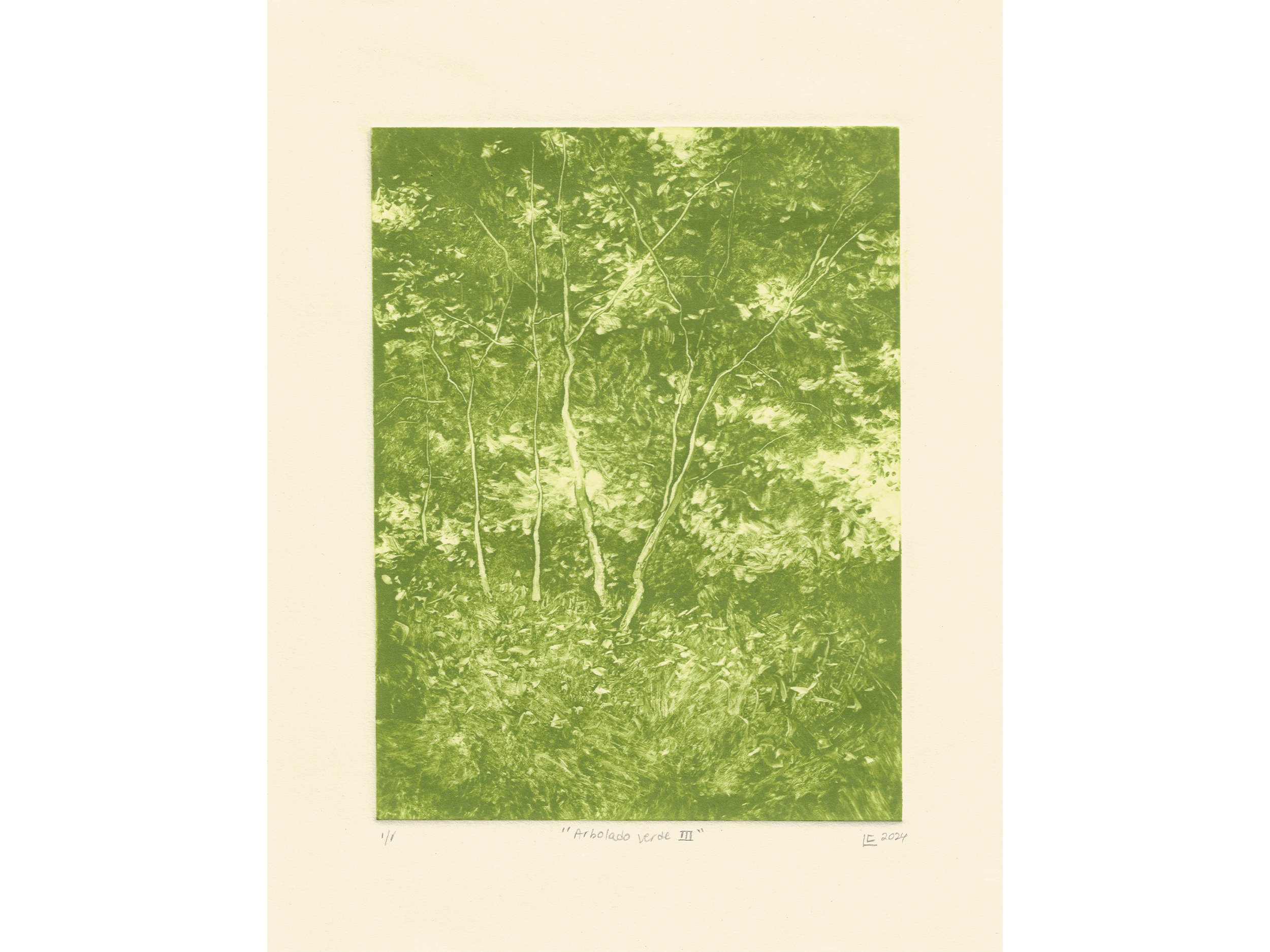 Arbolado-Verde-II-web.jpg