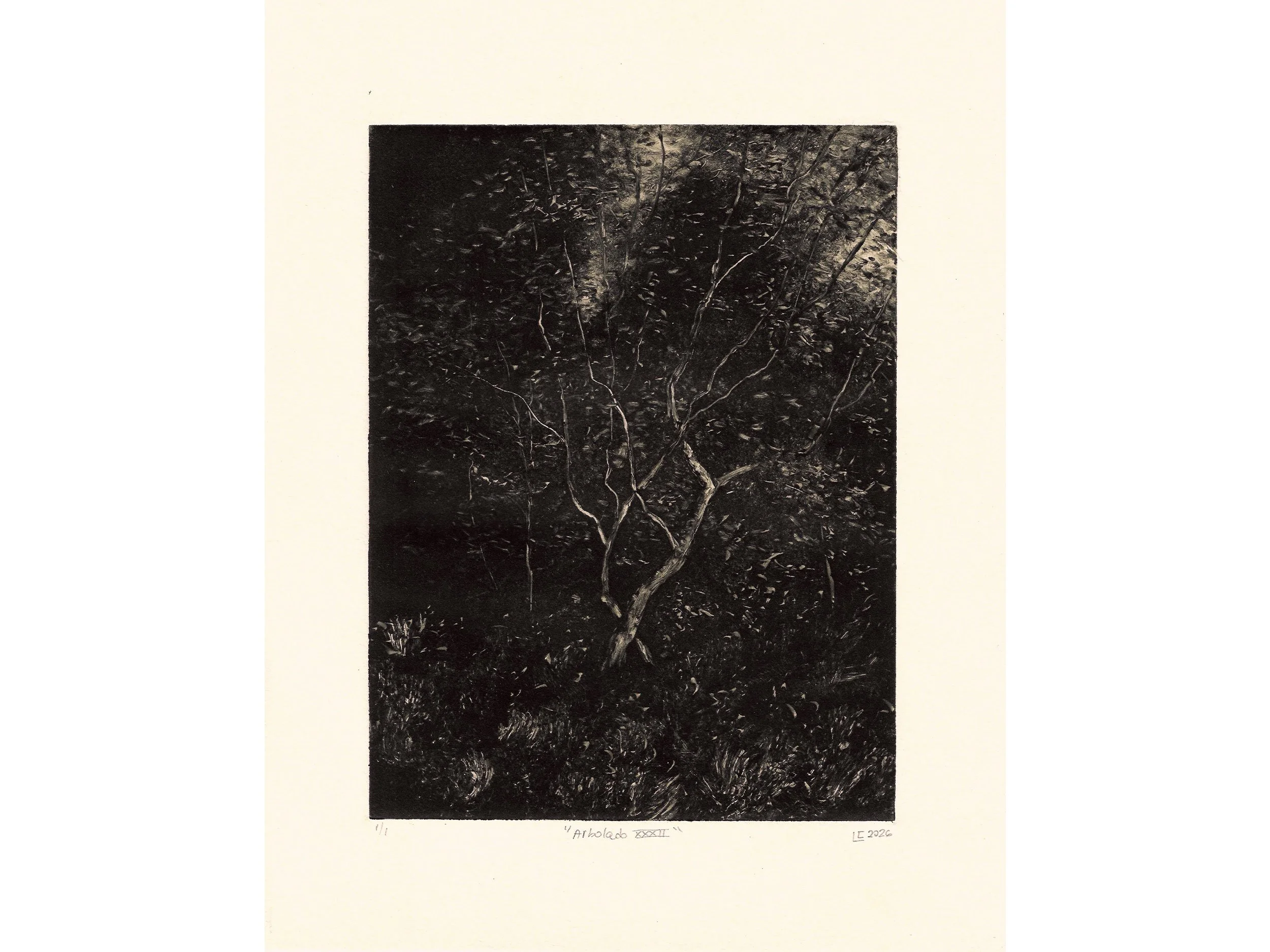 Arbolado-XXXII-web.jpg