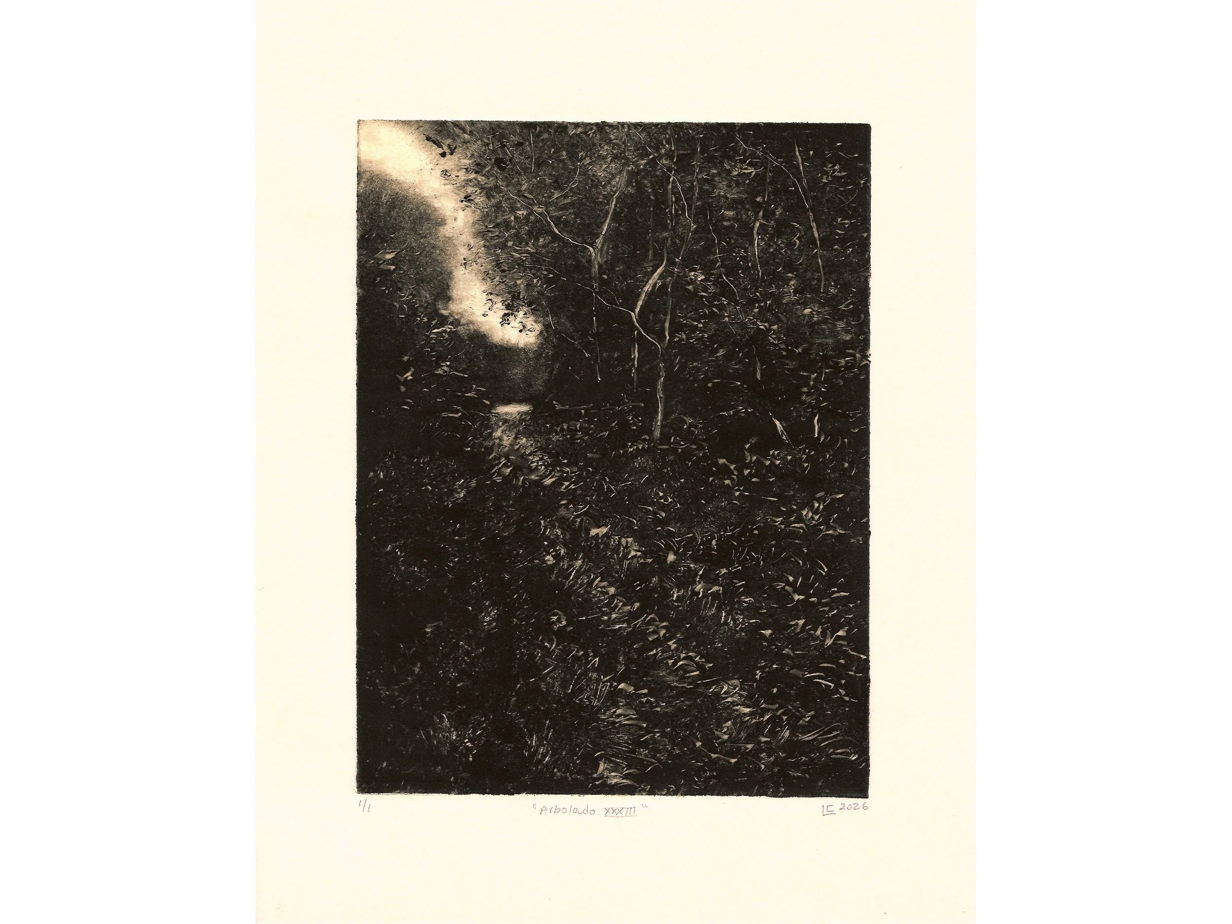 Arbolado-XXXIII-web.jpg