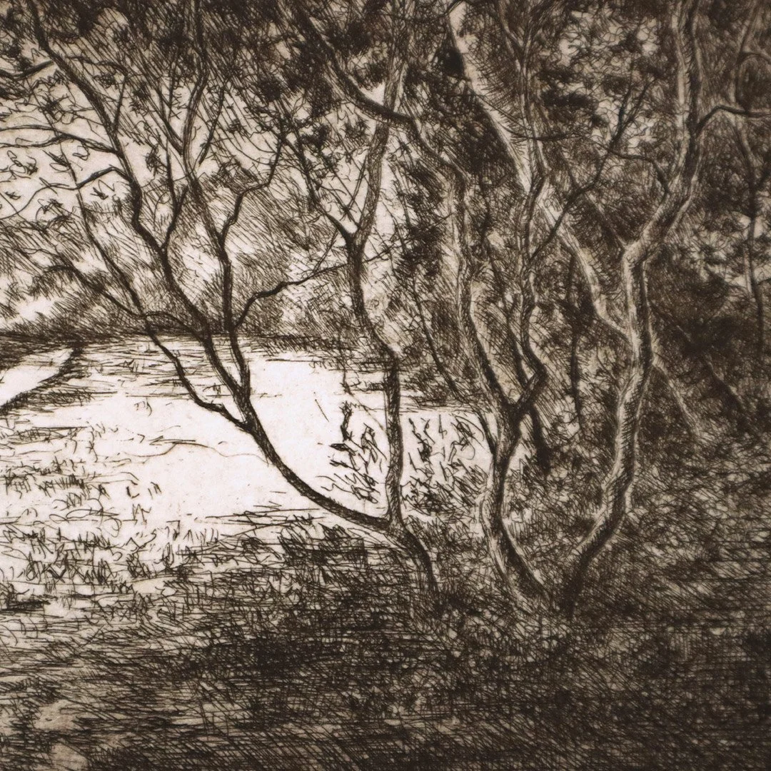 Paisaje Interno