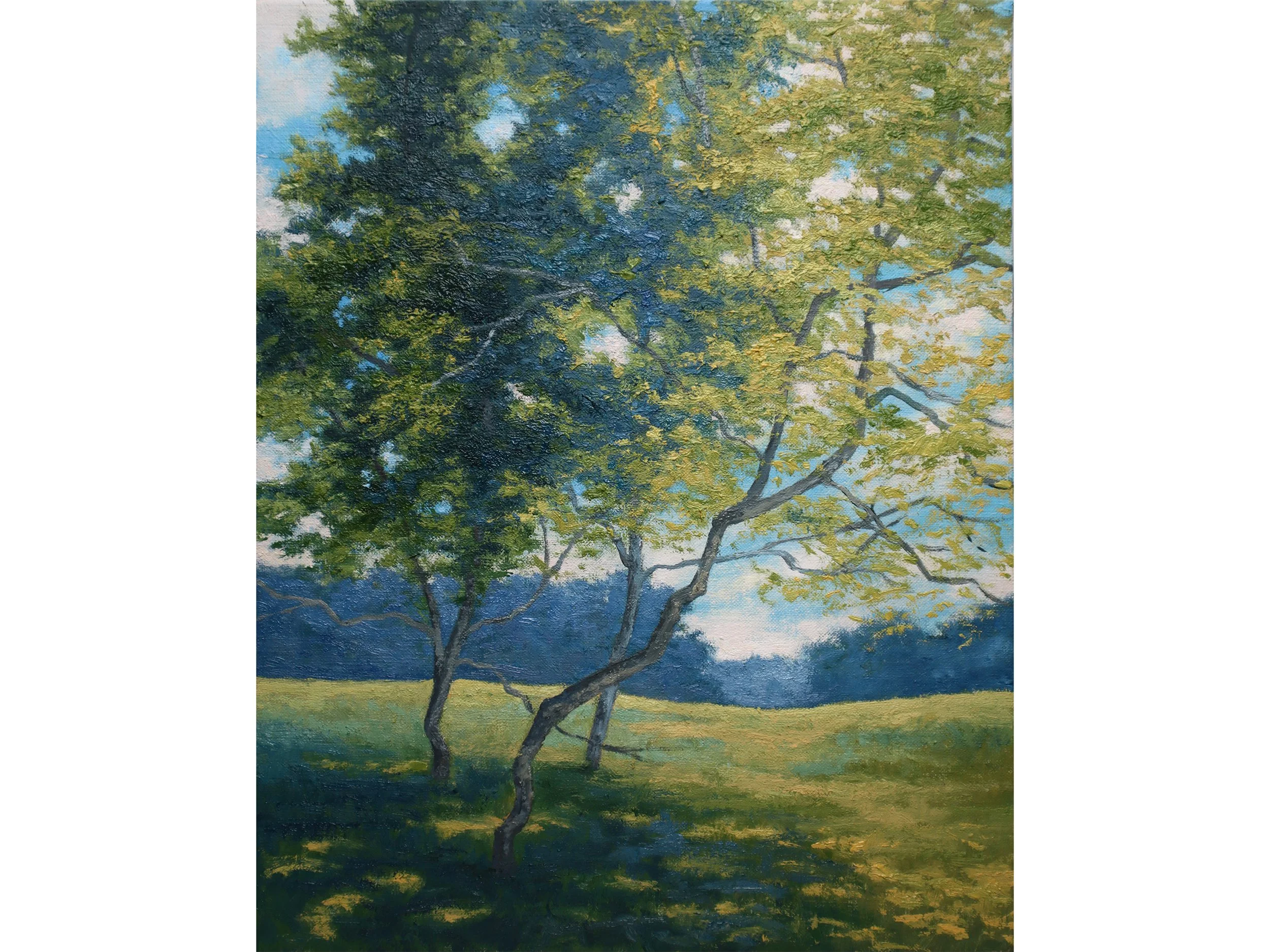 Trees-are-Whispering-web.jpg
