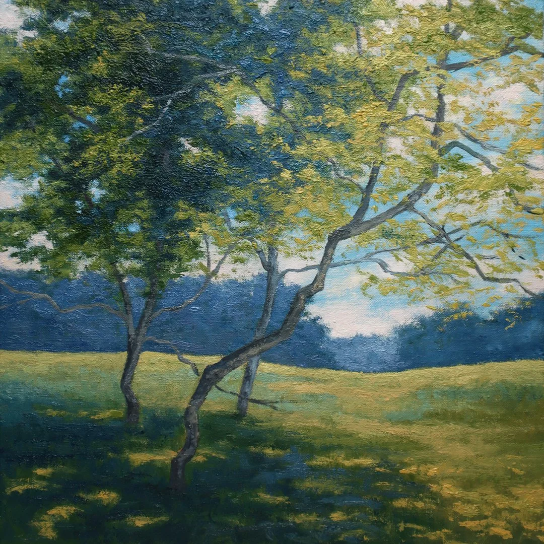 Trees are Whispering