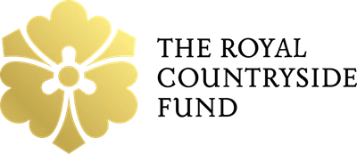 Gold shamrocks and the text 'The National Championships and'