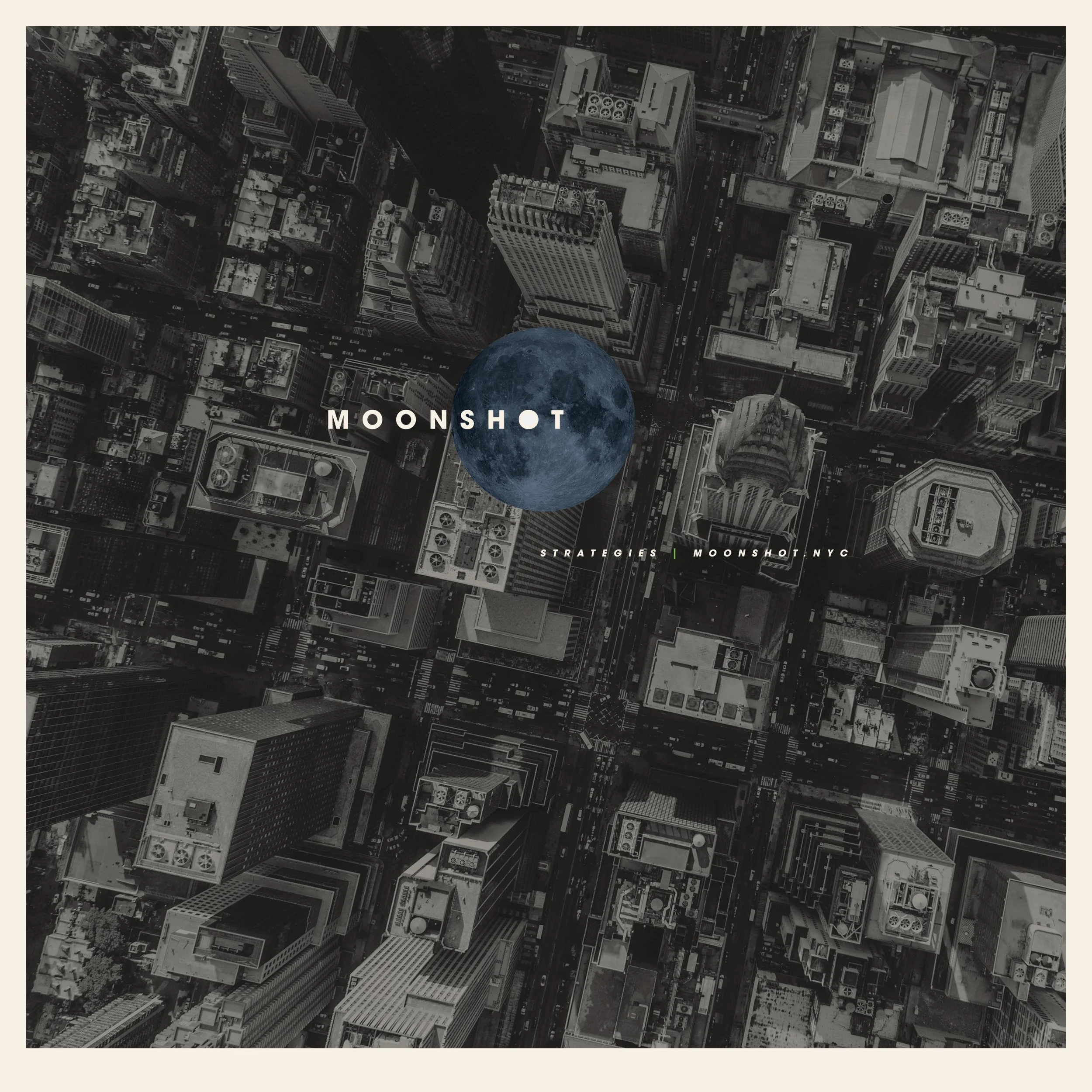 Moonshot Strategies Top NYC Government Affairs Consulting Firm