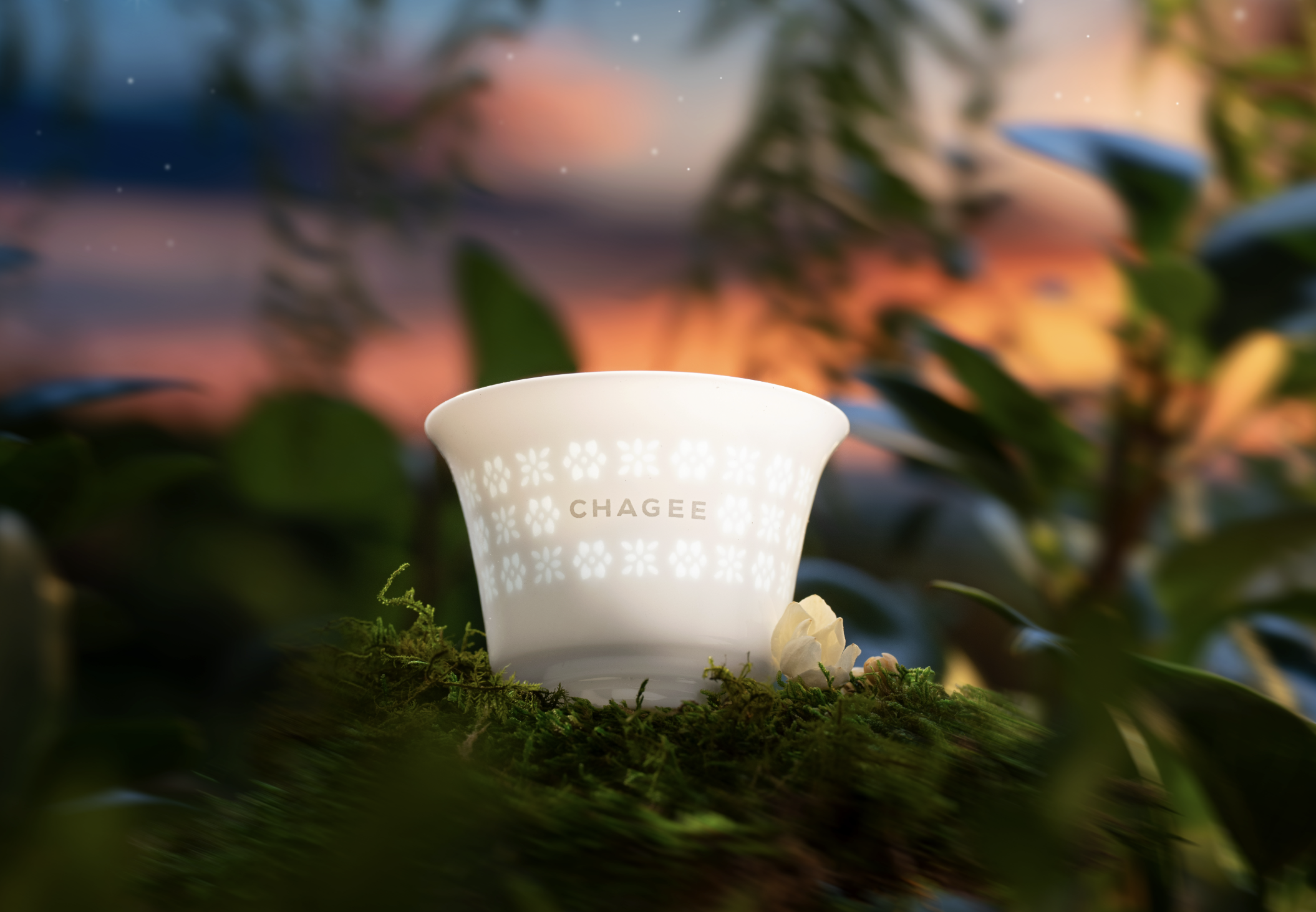 Screenshot 2026-02-04 at 11.48.05 AM.png