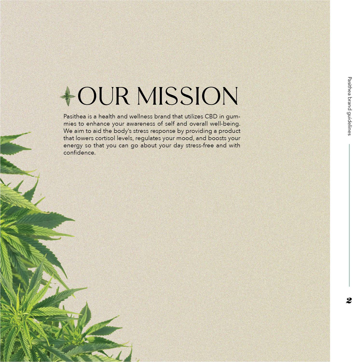 Pasithea_Individual_Pages_BrandBook-07.png