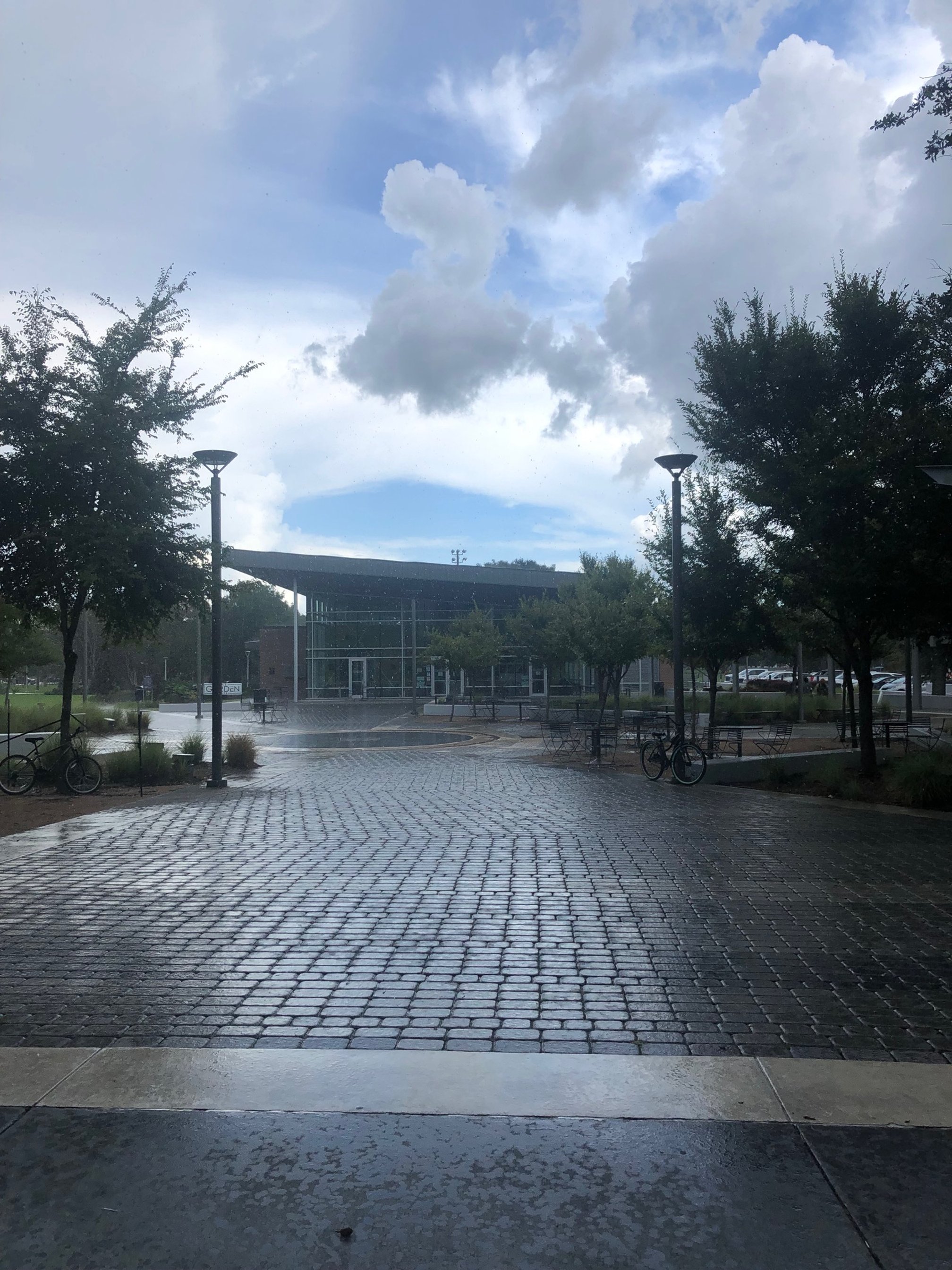 Rain.jpg