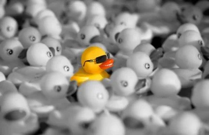 cool ducky in a crowd of lame ducks