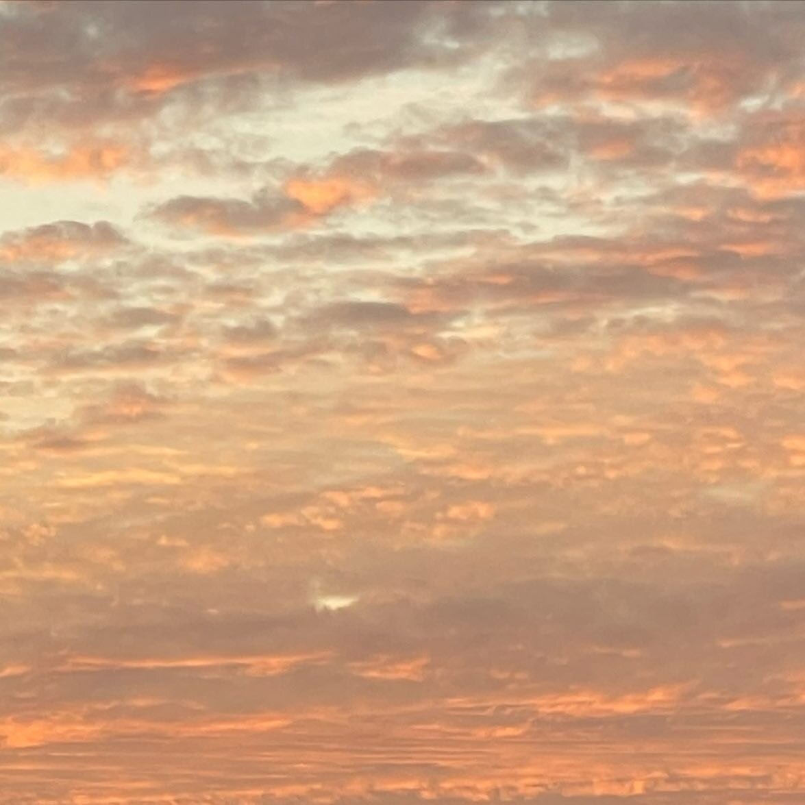 💫