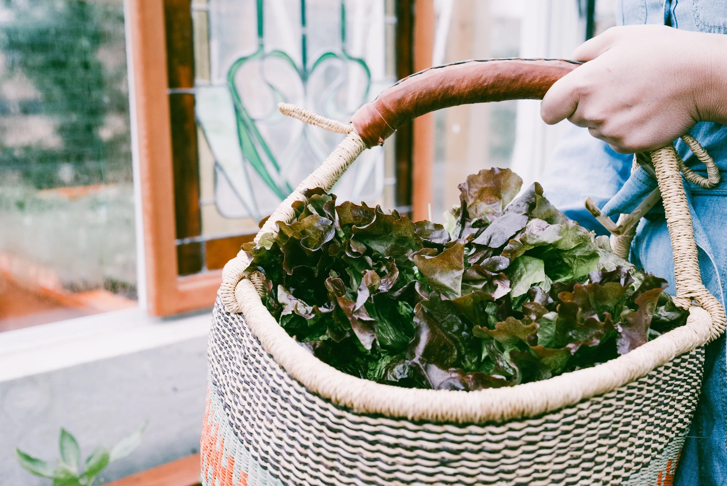 A General Spell With Your Favourite Plant/s!