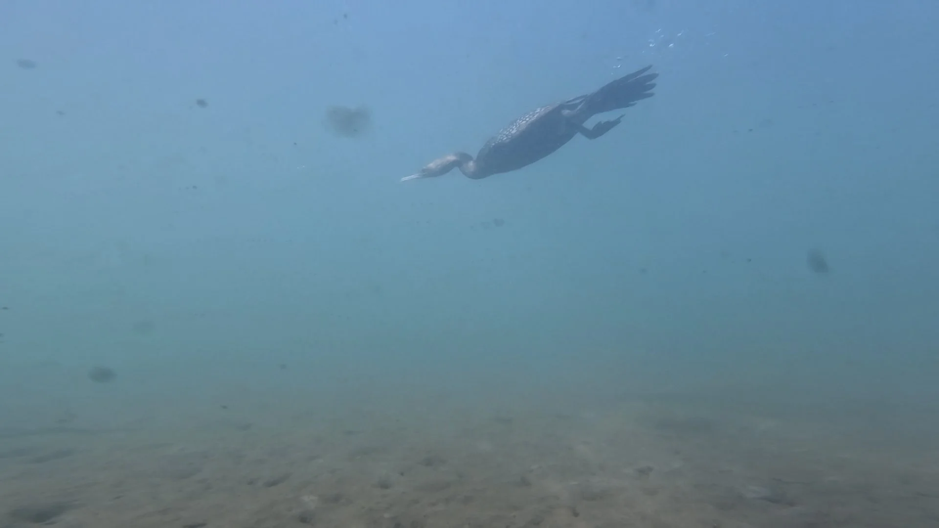 GoProStill31.jpg