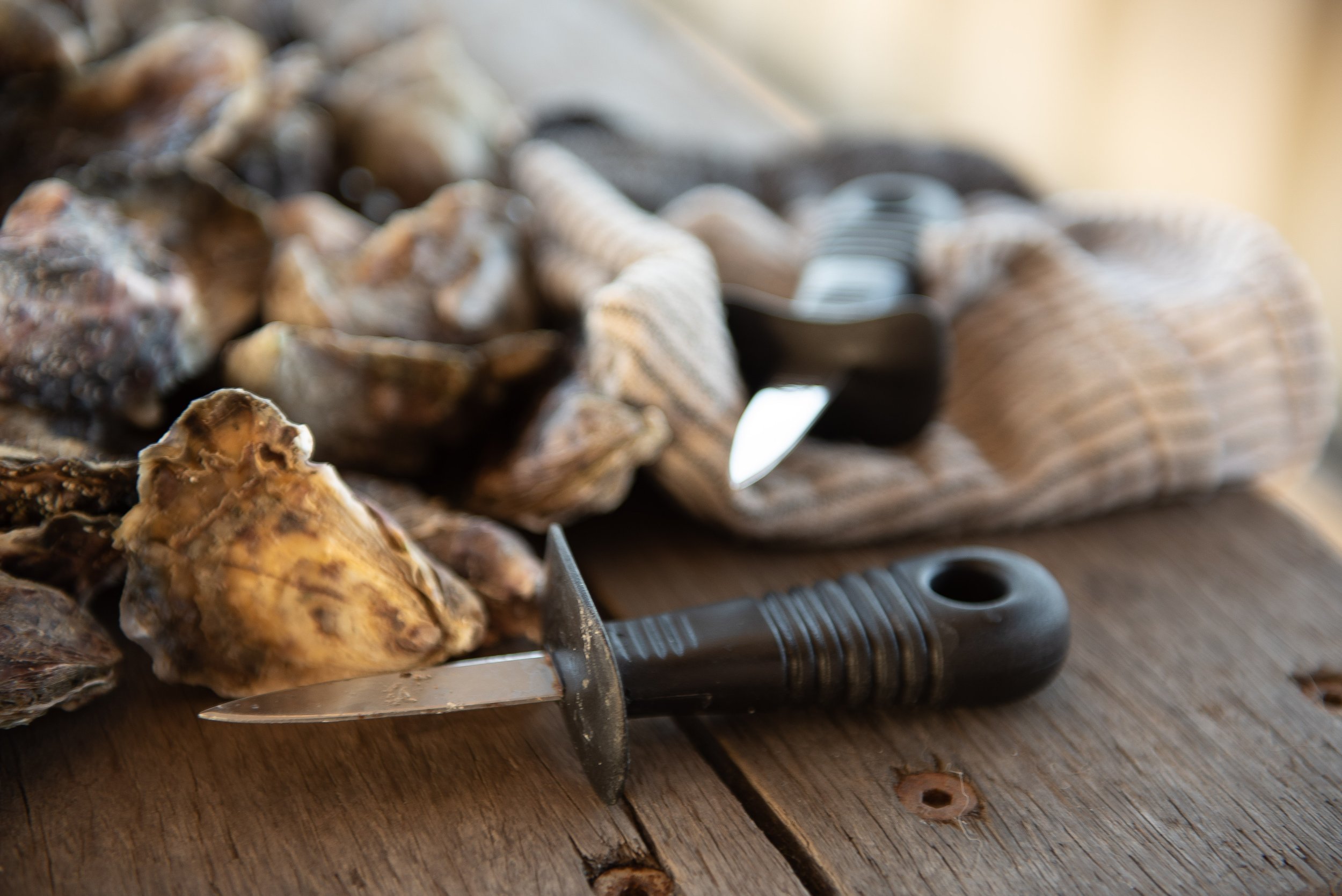 McAsh Oysters (52).jpg