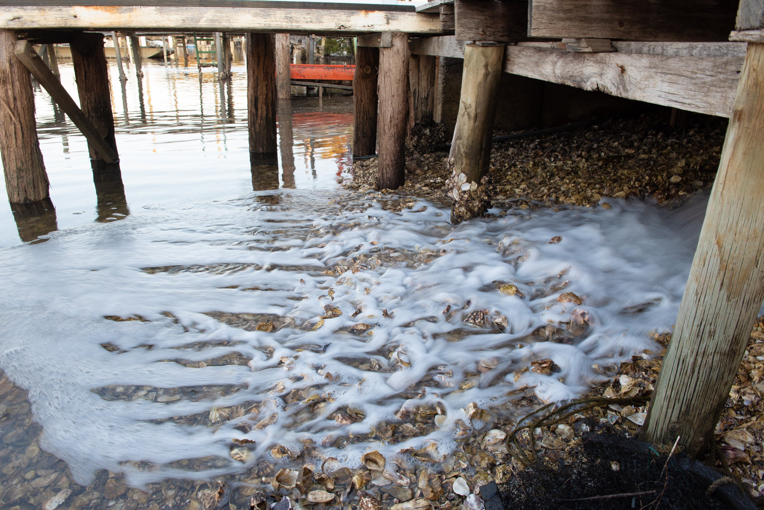 McAsh Oysters (20).jpg
