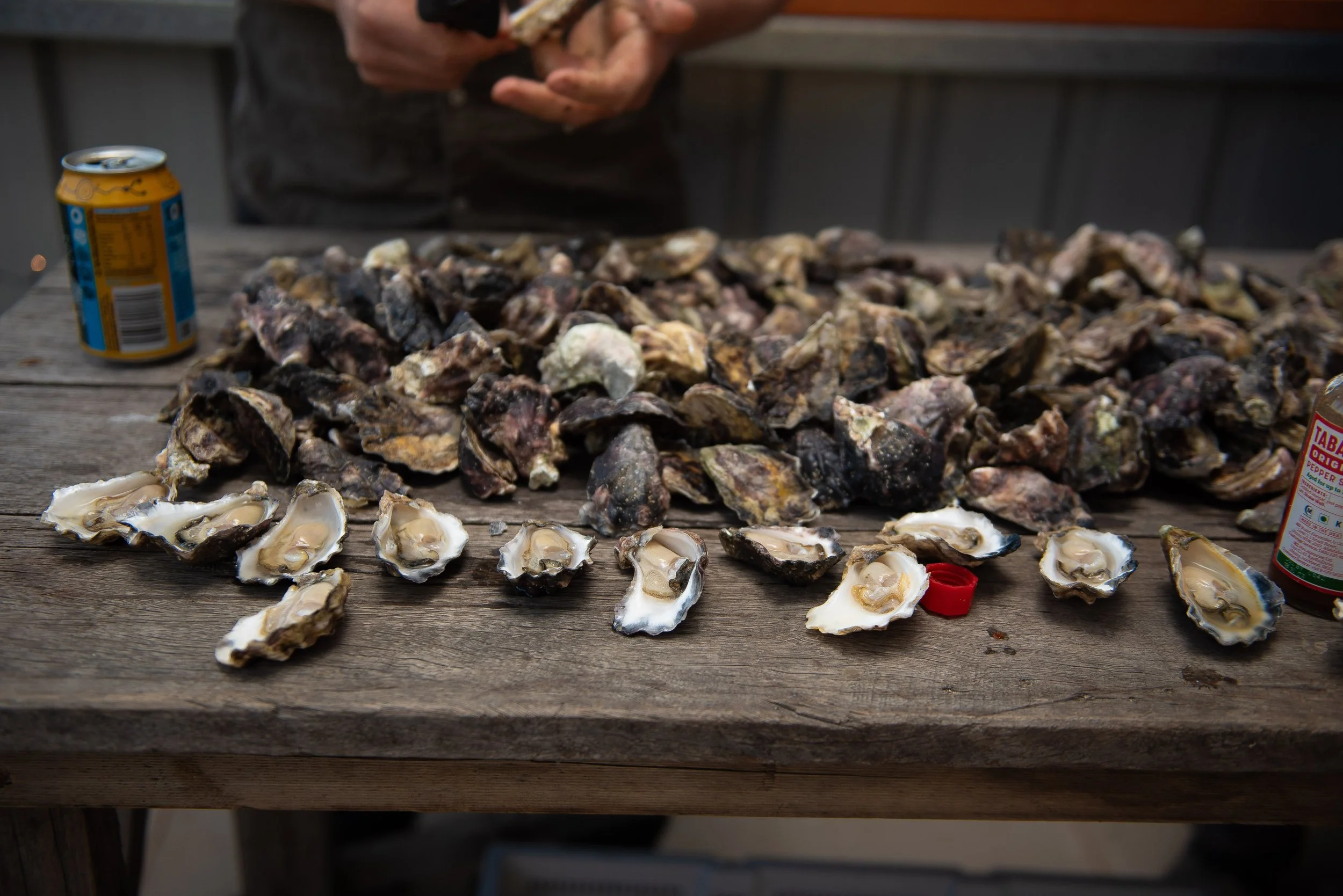 McAsh Oysters (13).jpg