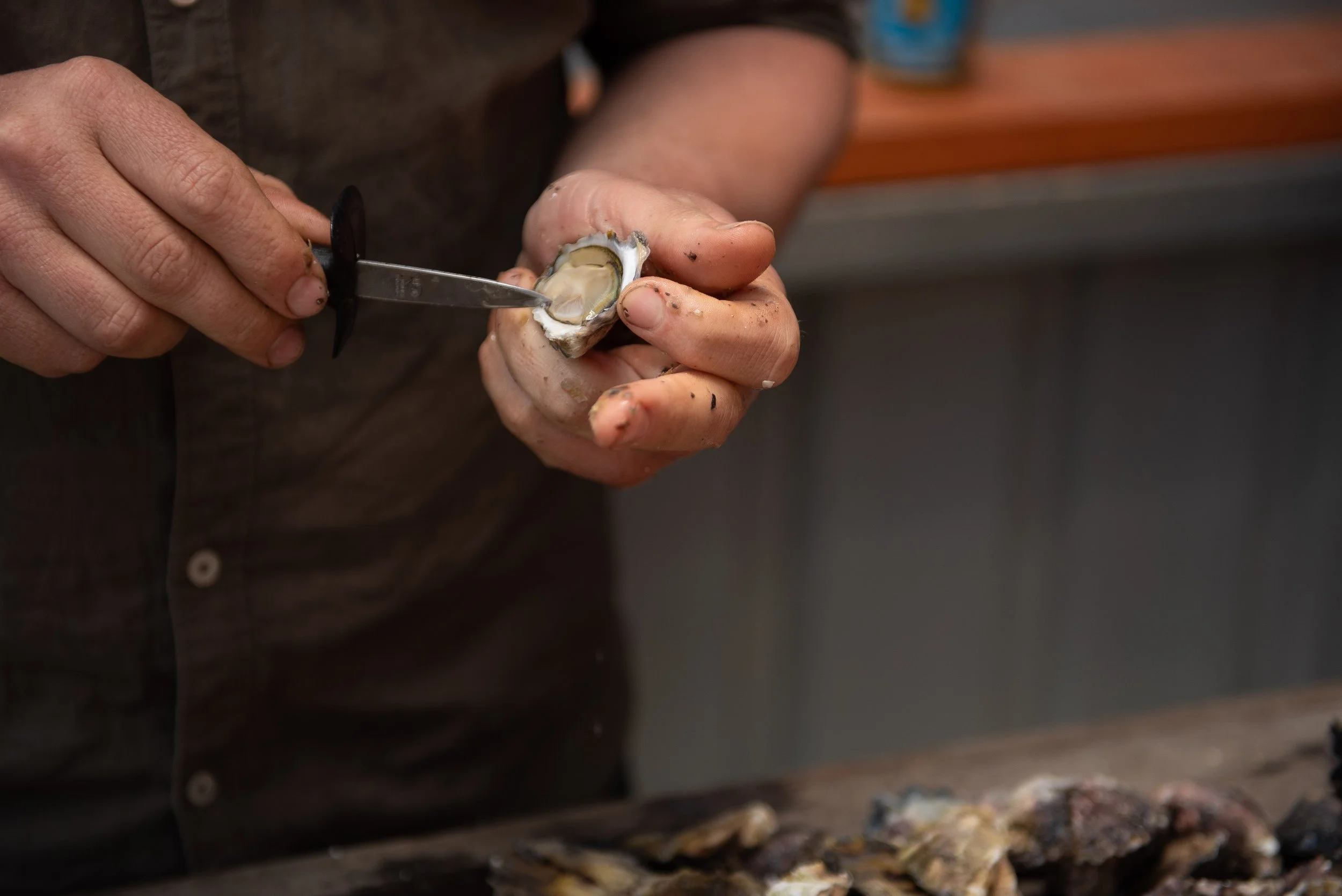 McAsh Oysters (11).jpg