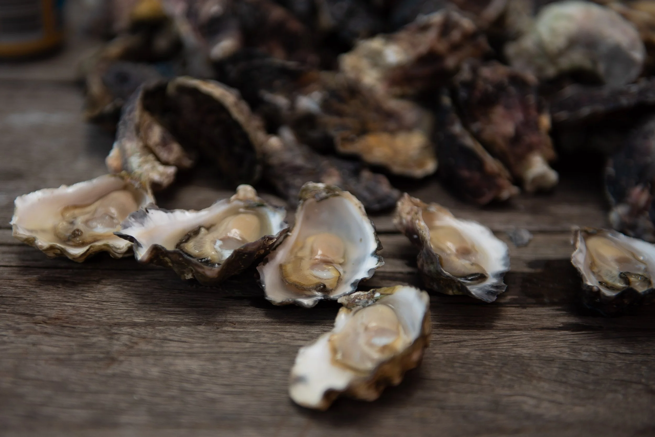 McAsh Oysters (12).jpg
