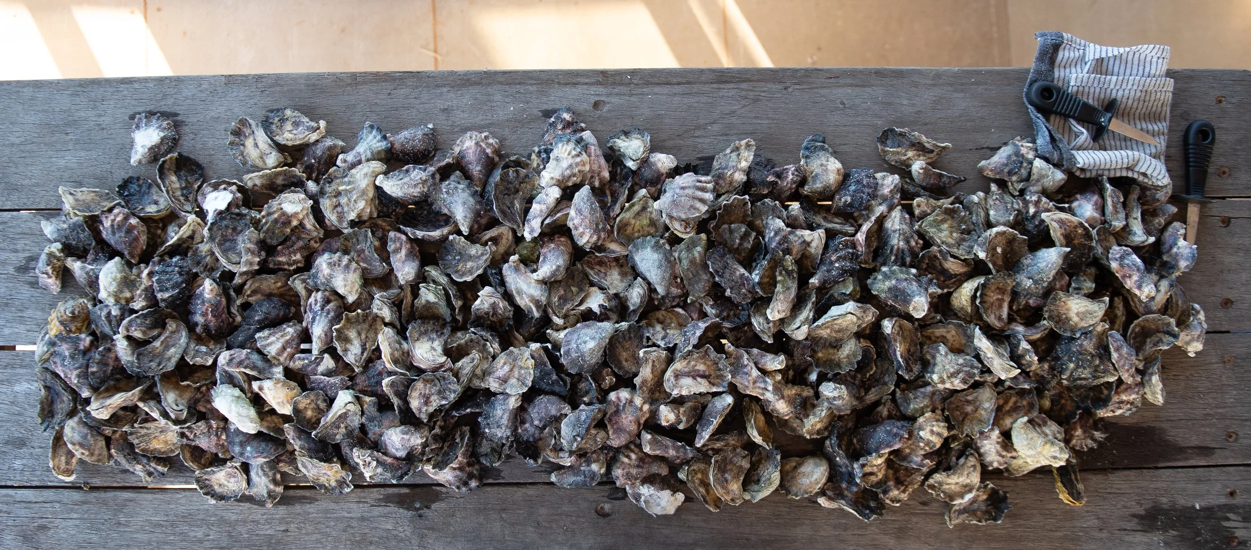 McAsh Oysters (53).jpg