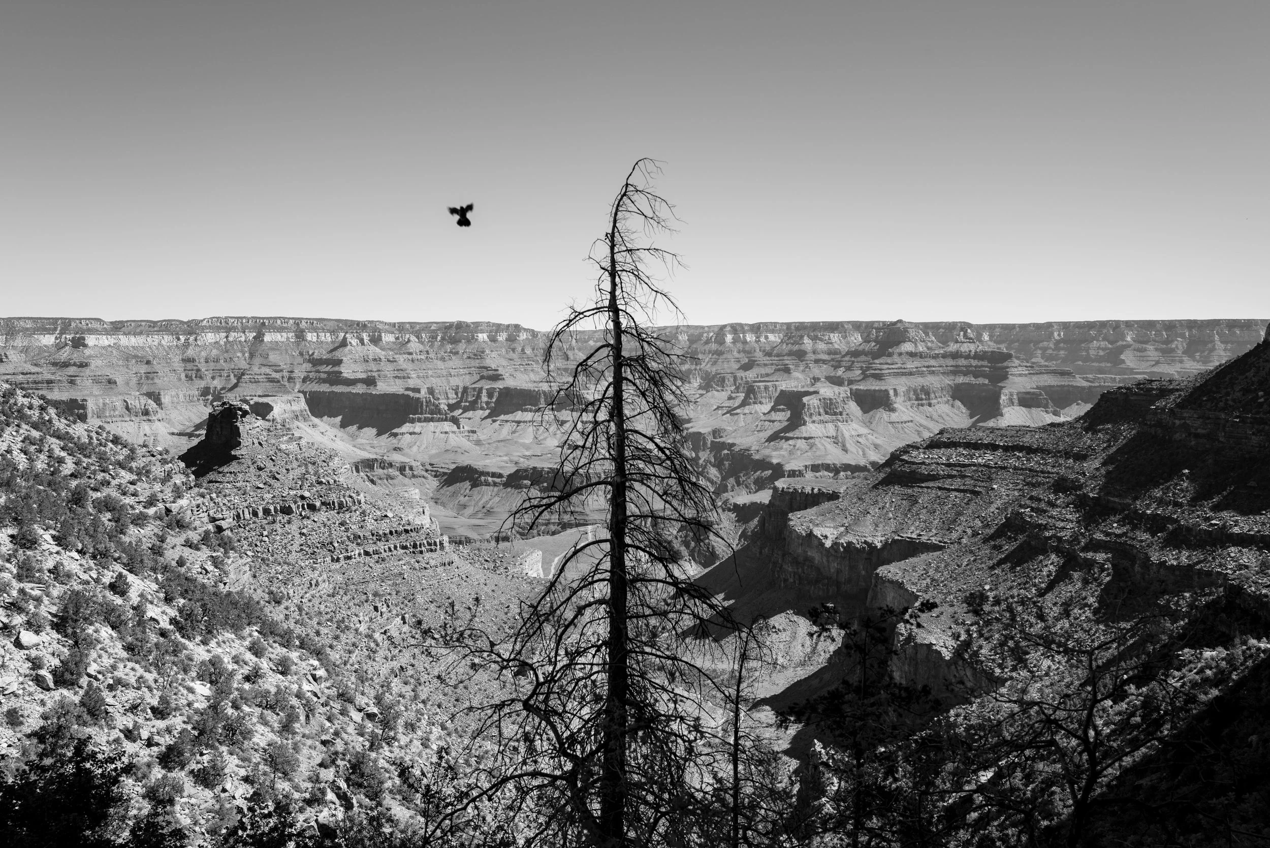 L1037354.jpg