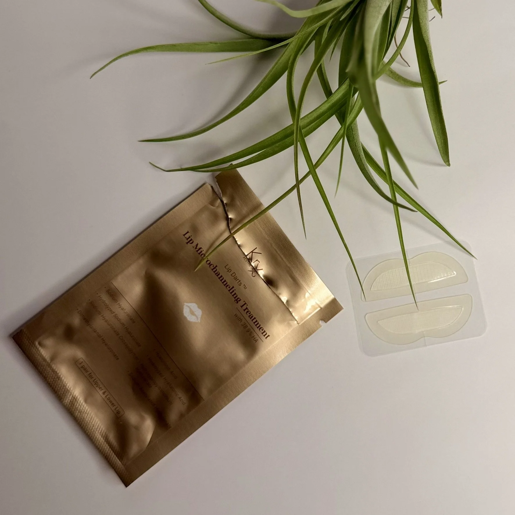 KrX Aesthetics Lip Microchanneling Treatment Korean Skincare Mood Skin Co..jpeg
