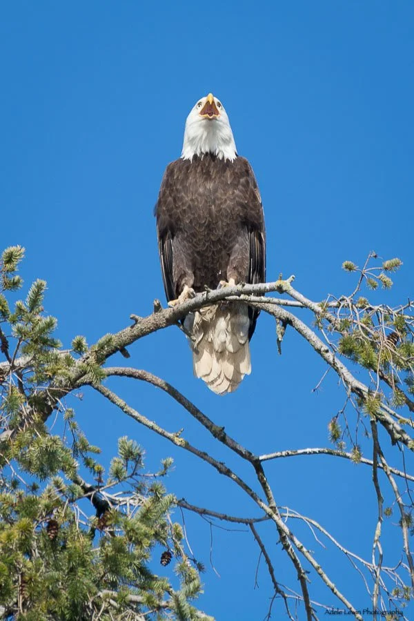 _DSC5093_web.jpg