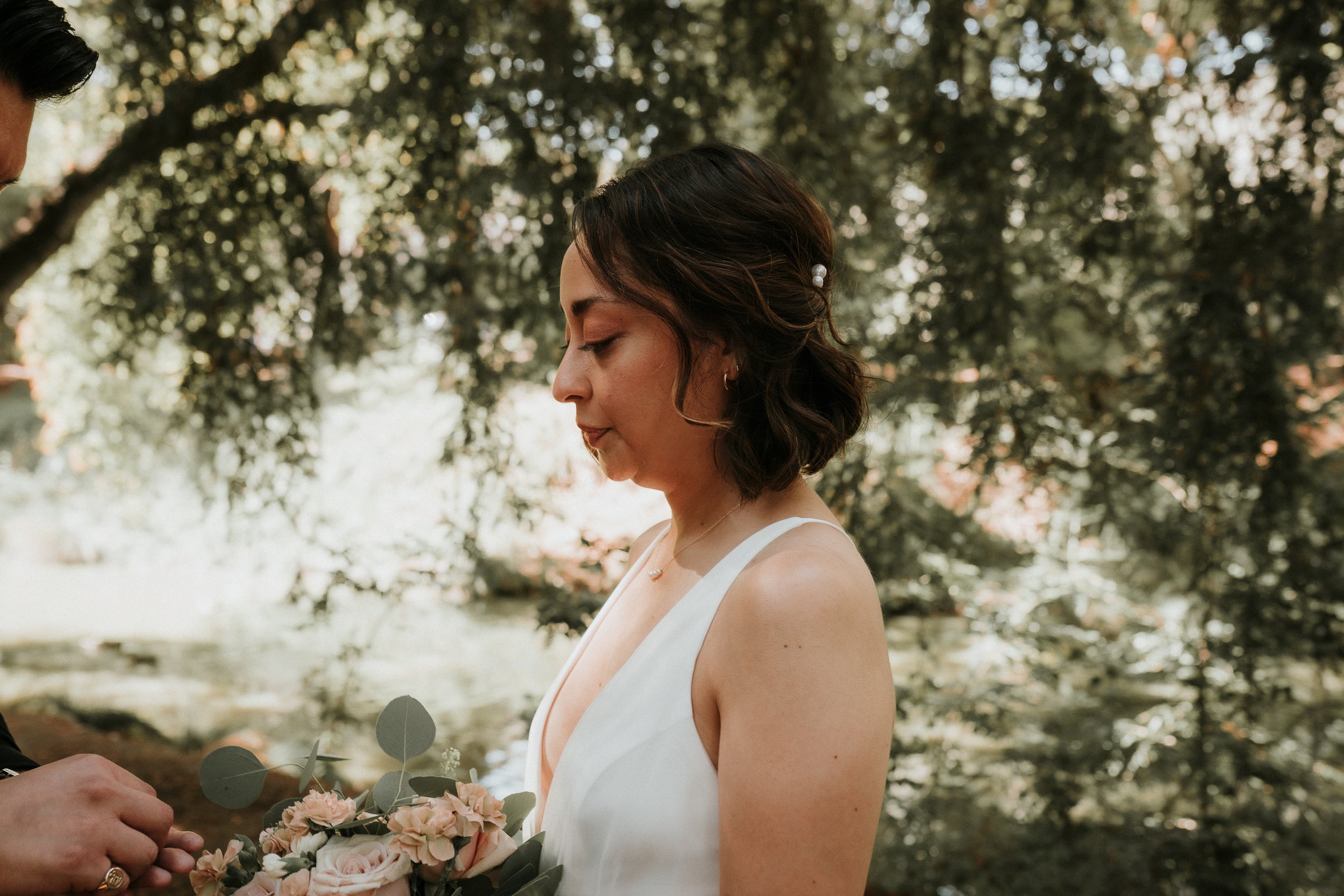 California-redwood-elopement 