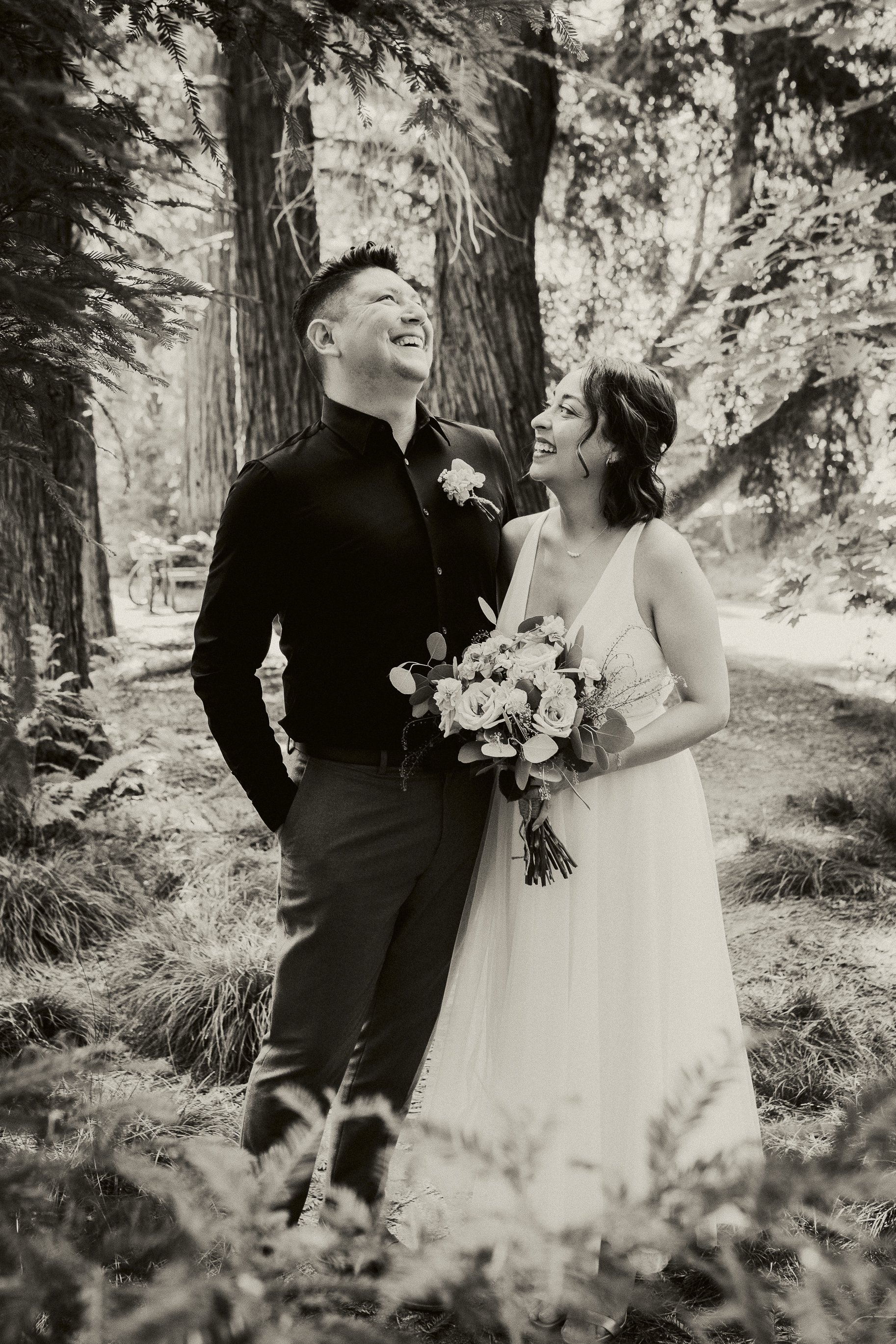 California-redwood-elopement 