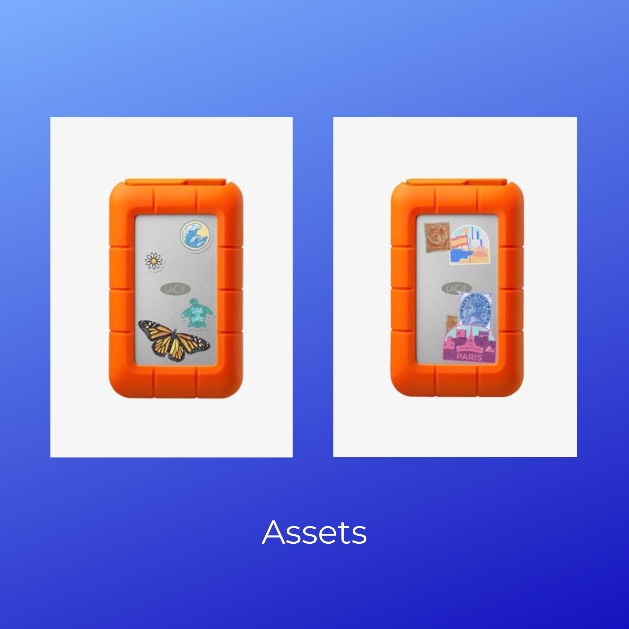 Assets.jpg