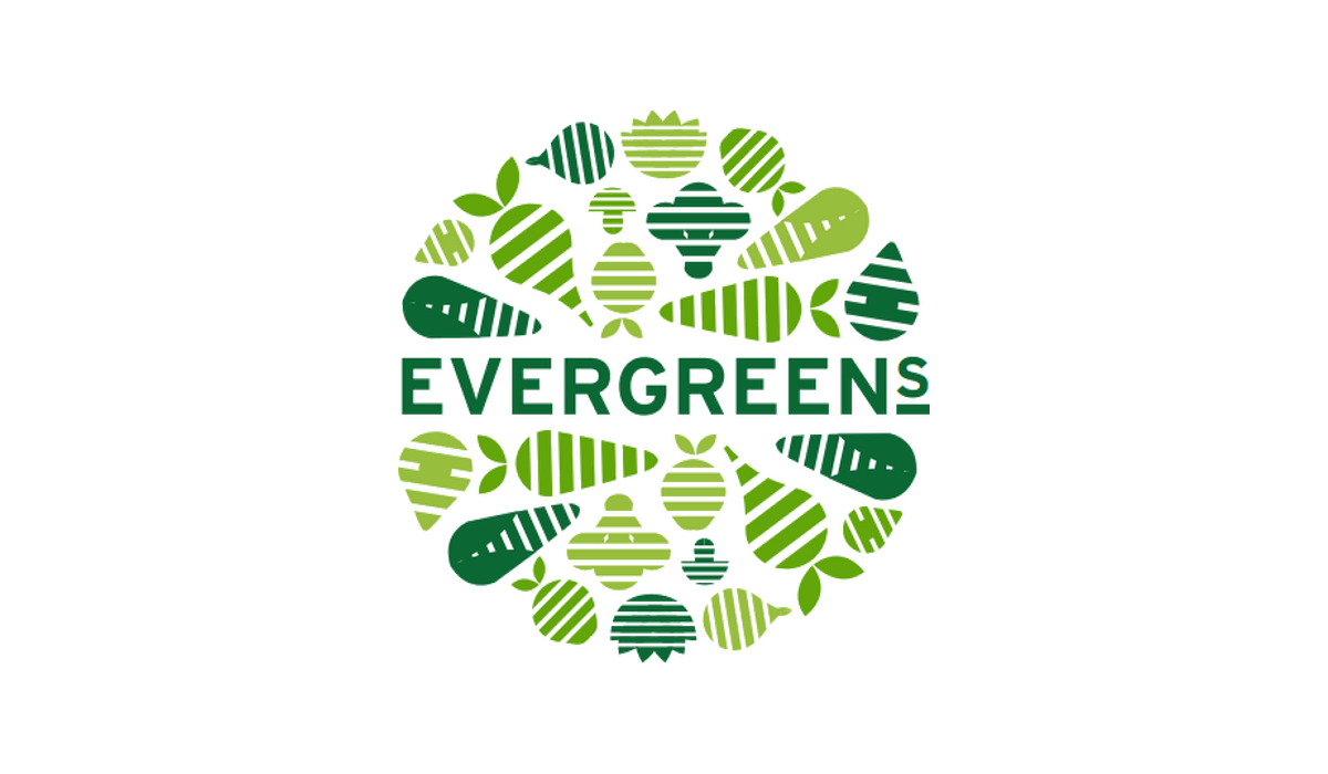 evergreens.png