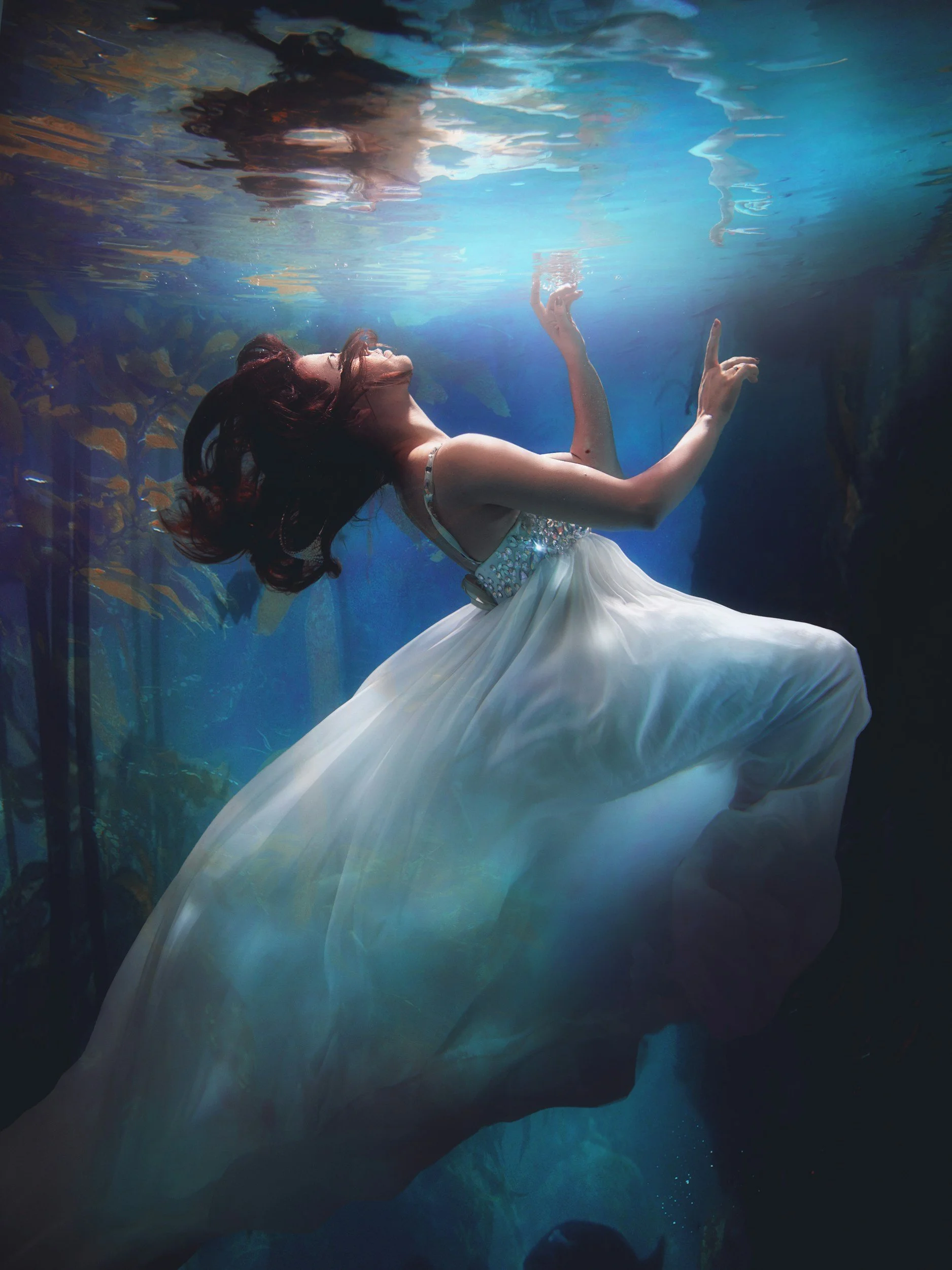 Underwater cat