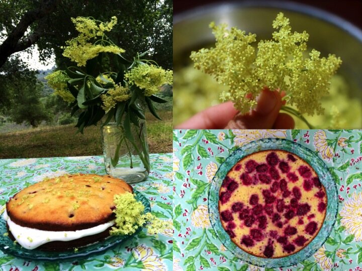 Classic Elderflower Cordial & Elderflower berry birthday cake