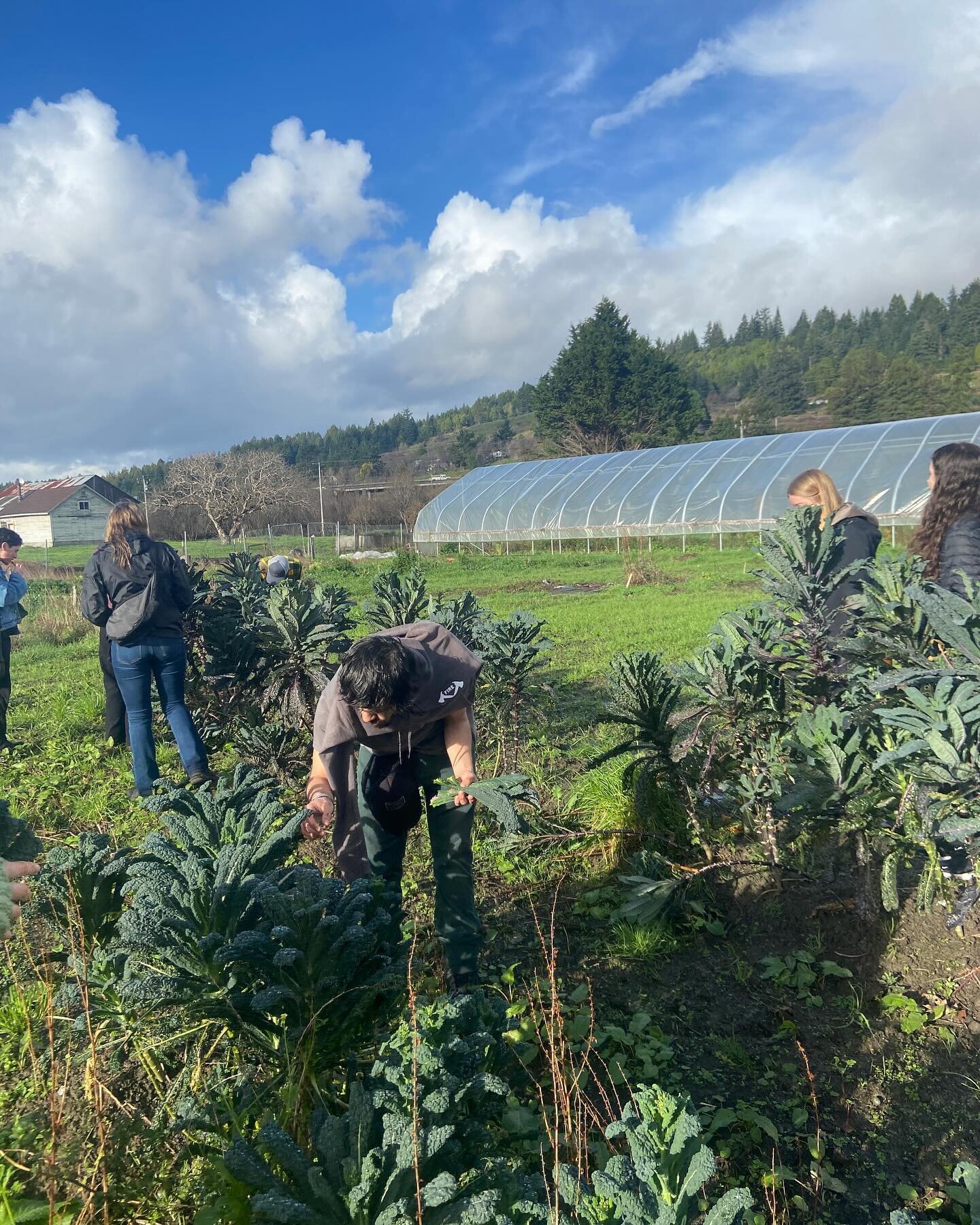 Lucky that my work includes taking amazing students (this time from @humboldtpolytechnic) to incredible local food sites, plenty of hair nets, rainbows, and giant rooms full of Humboldt Fog cheese! Thanks to @cypressgrovers, @blue_lake_rancheria, @nc