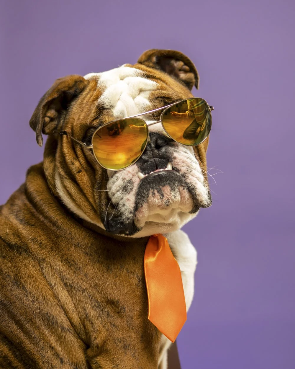 019_Winston_CrimsonCatStudios.jpg