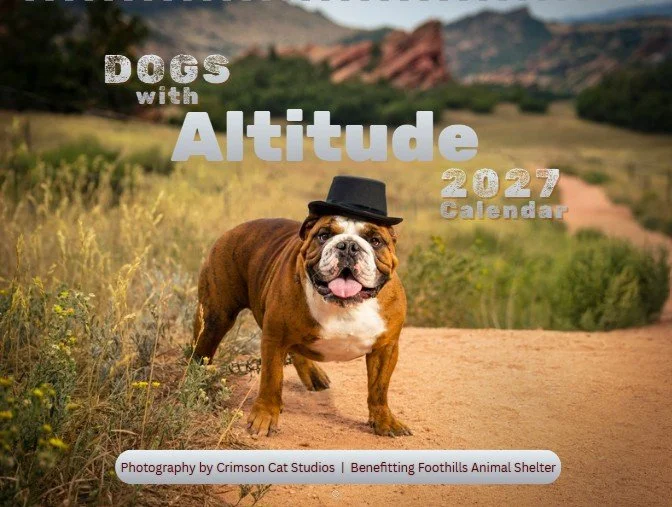 Dogs with Altitude 2027 Calendar benefitting Foothills Animal Shelter