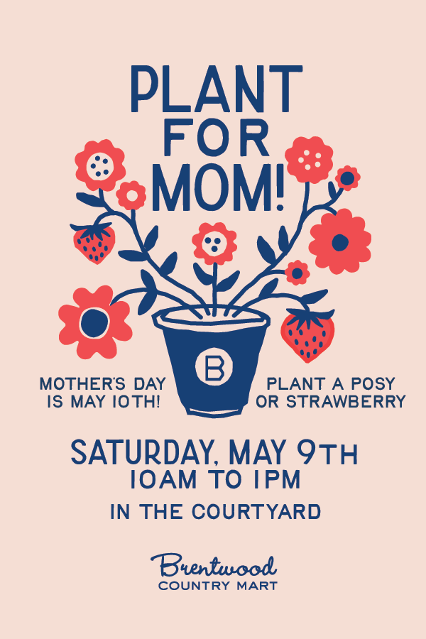 BCM_MothersDay4x6_2026.png