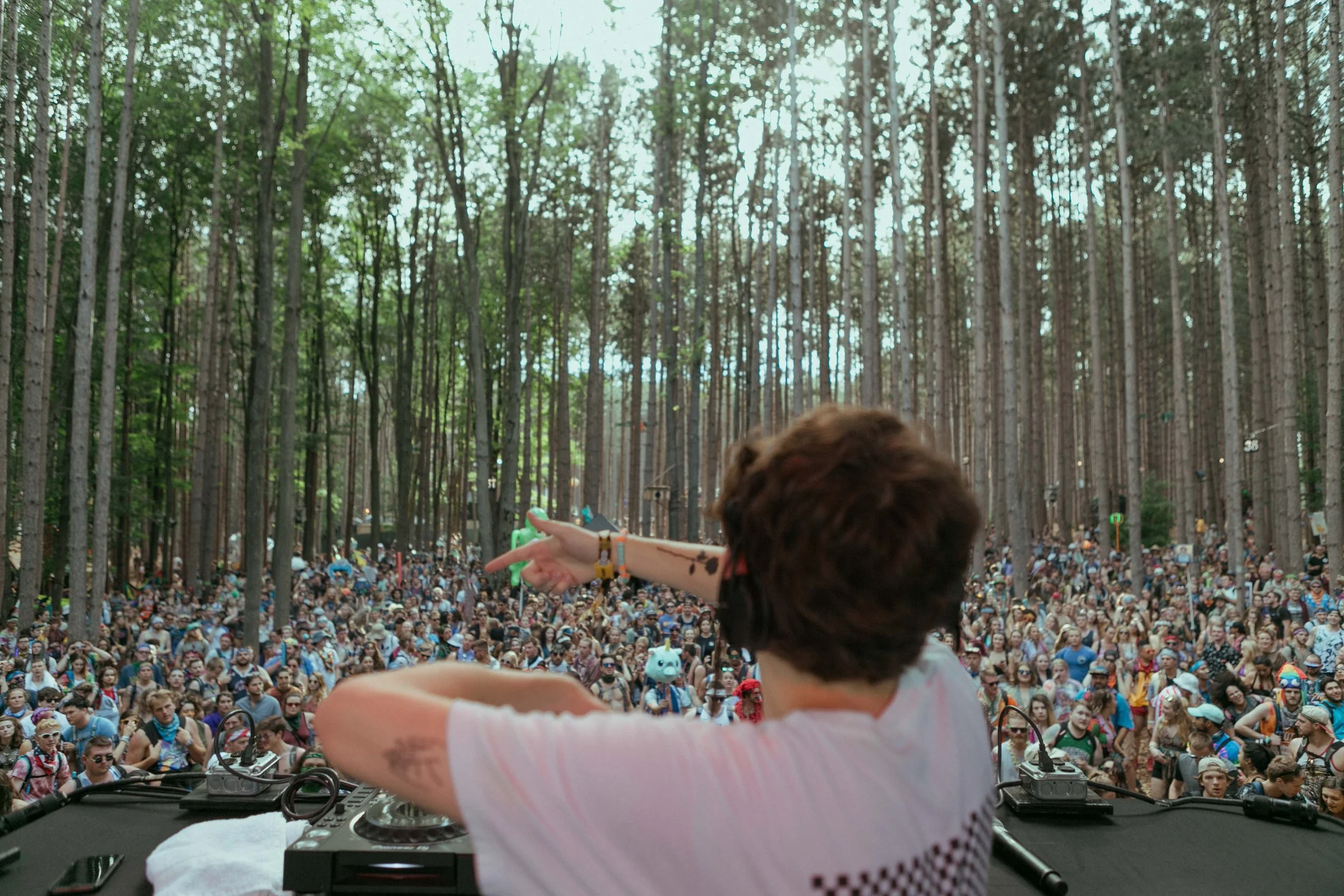 Electric Forest
 Ashley Yu 