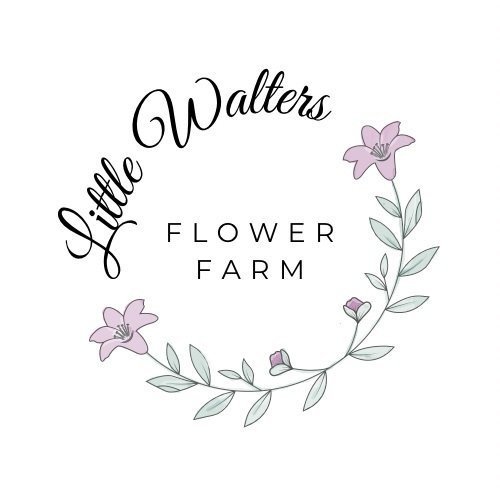 Little Walters Flower Farm