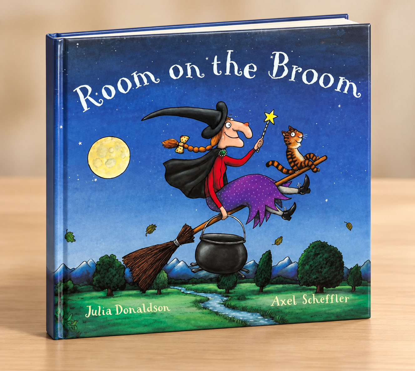 Room on the Broom Book.png
