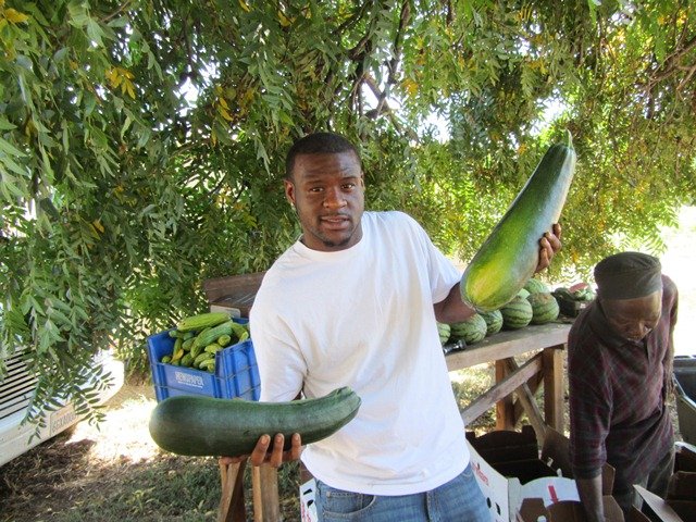 Kenneth Hill 8-2012.jpg