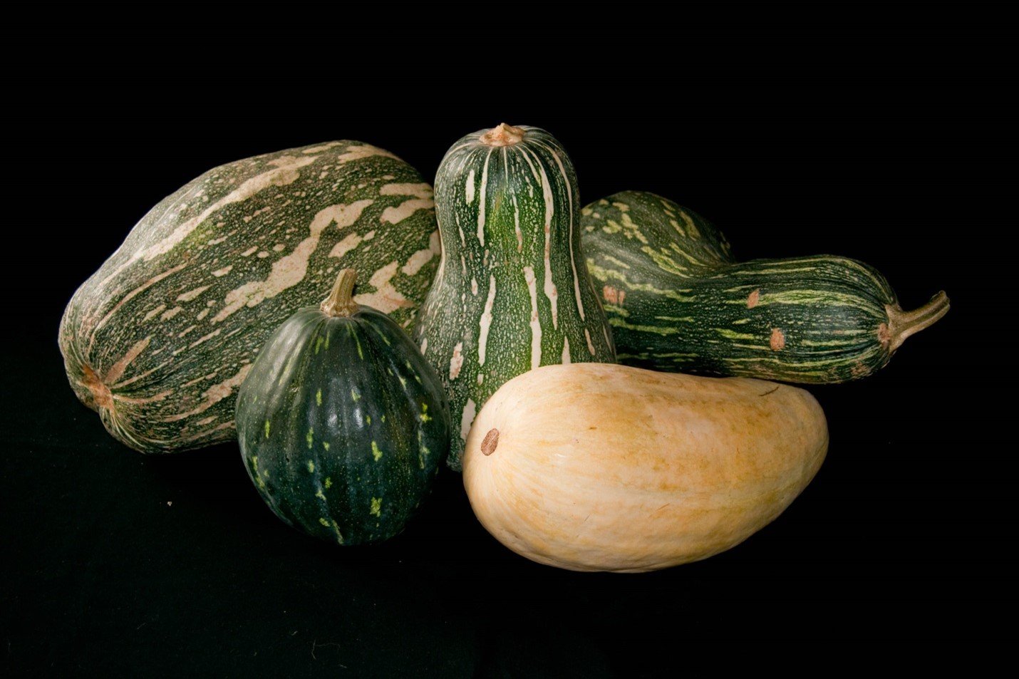 Squash.jpg