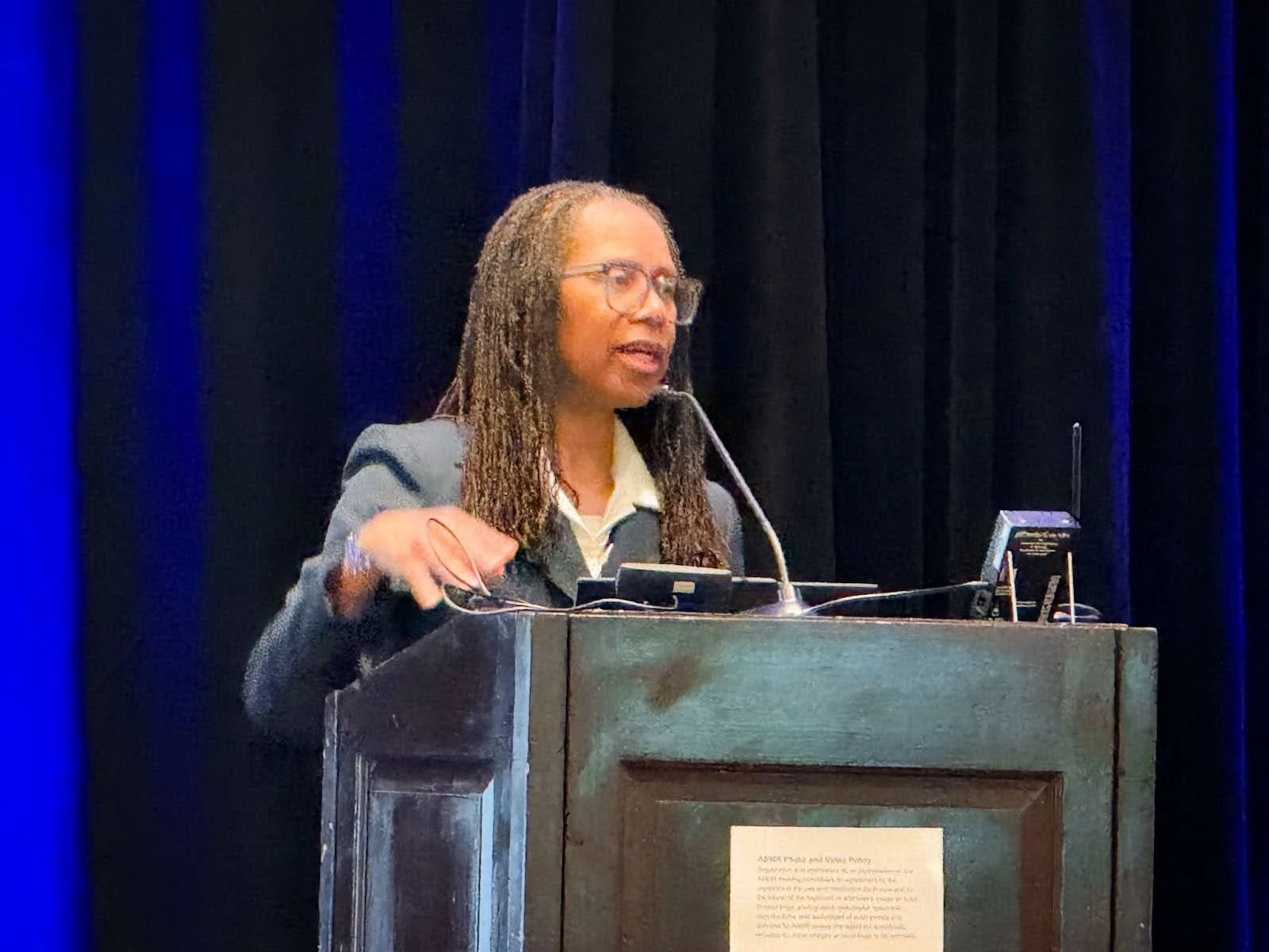 susan beane presenting.jpg