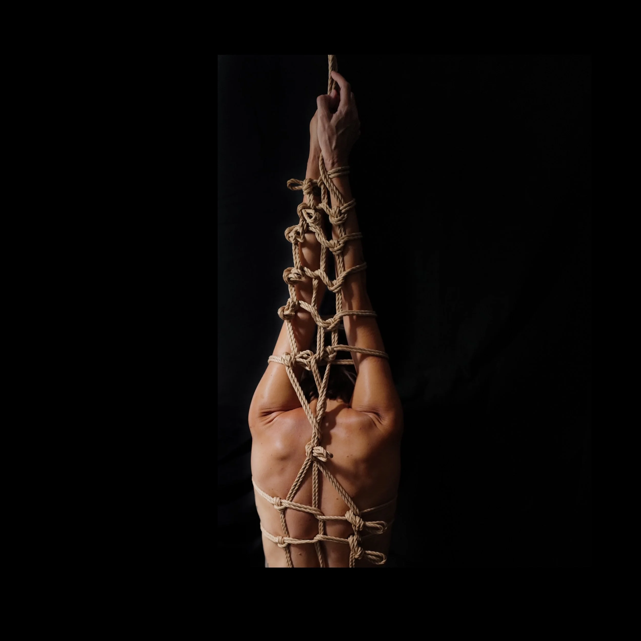 Wabi Sabi - Shibari as Abstract Art