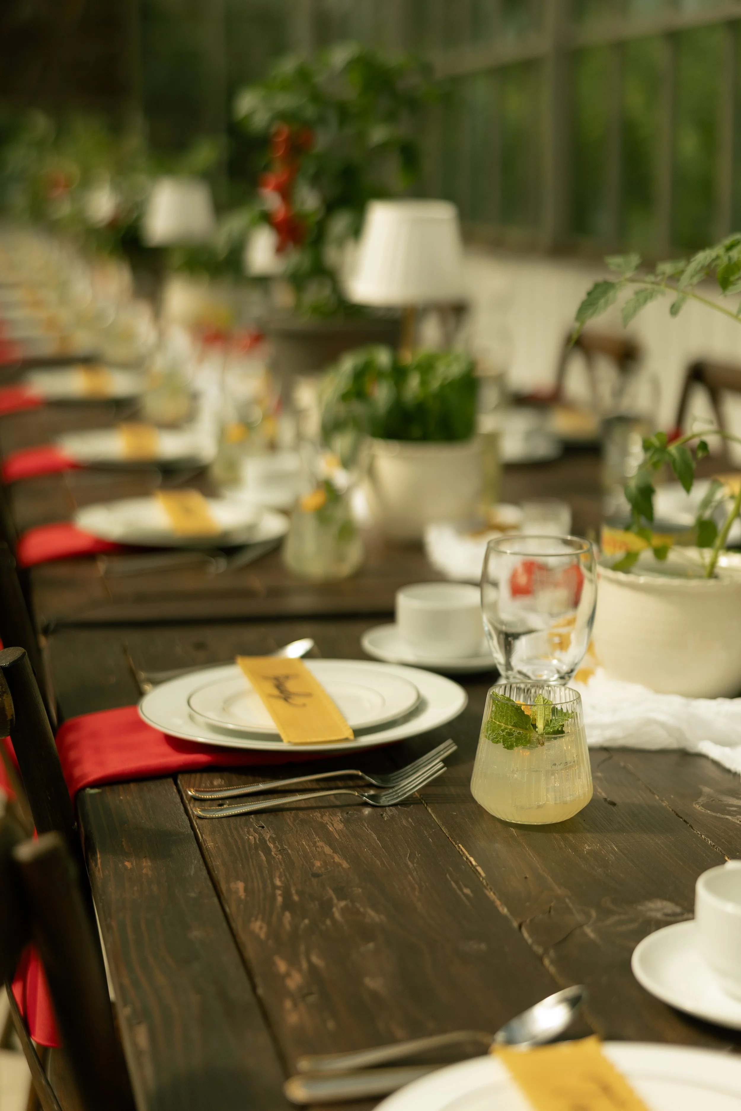 Cocktails at a styled dinner party, showcasing bar service for private gatherings, garden parties and social events by French Honey Hospitality in Virginia.