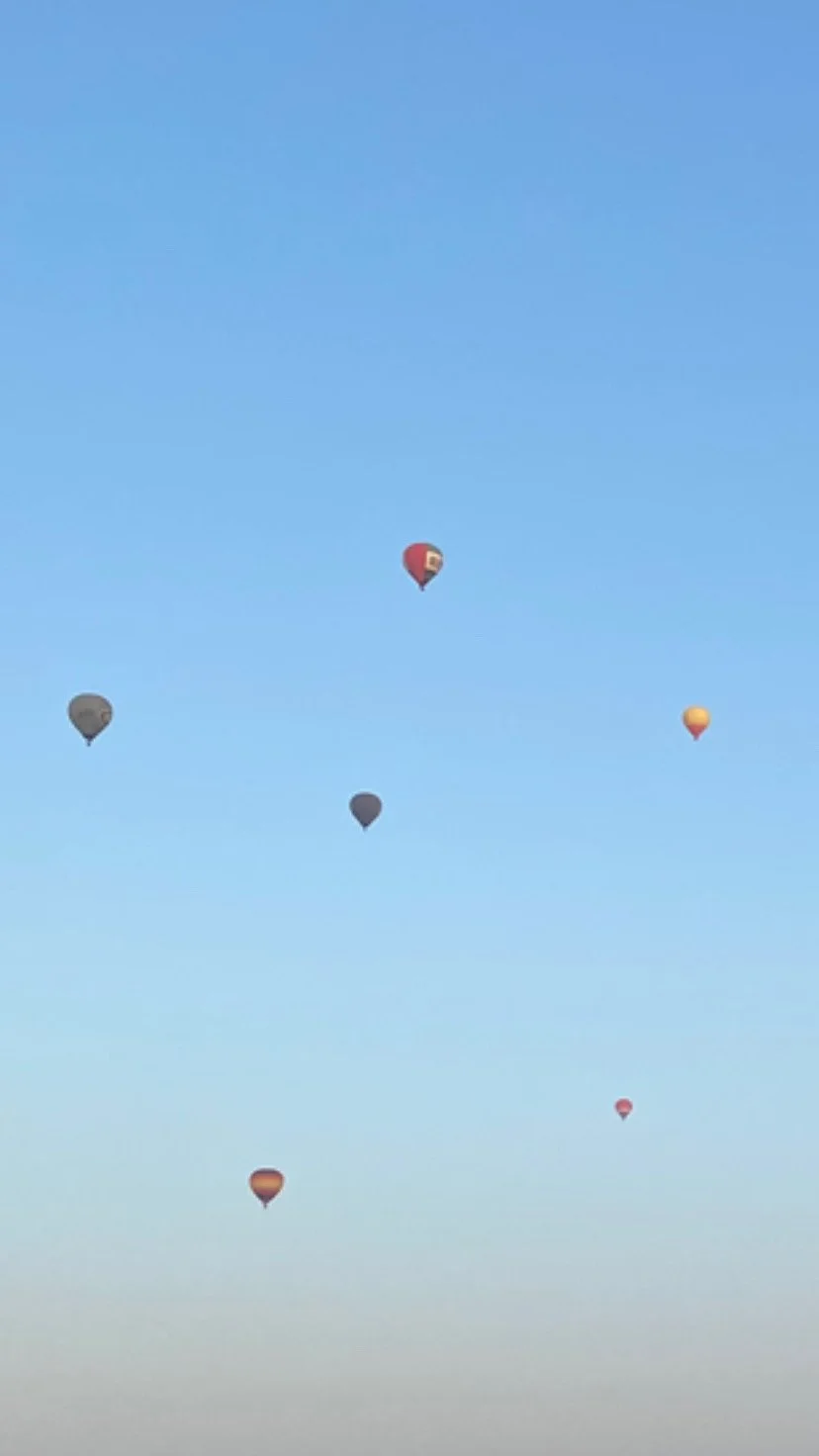B246B7DC-2C28-45F7-B42F-CA2B9256A2CF.jpg