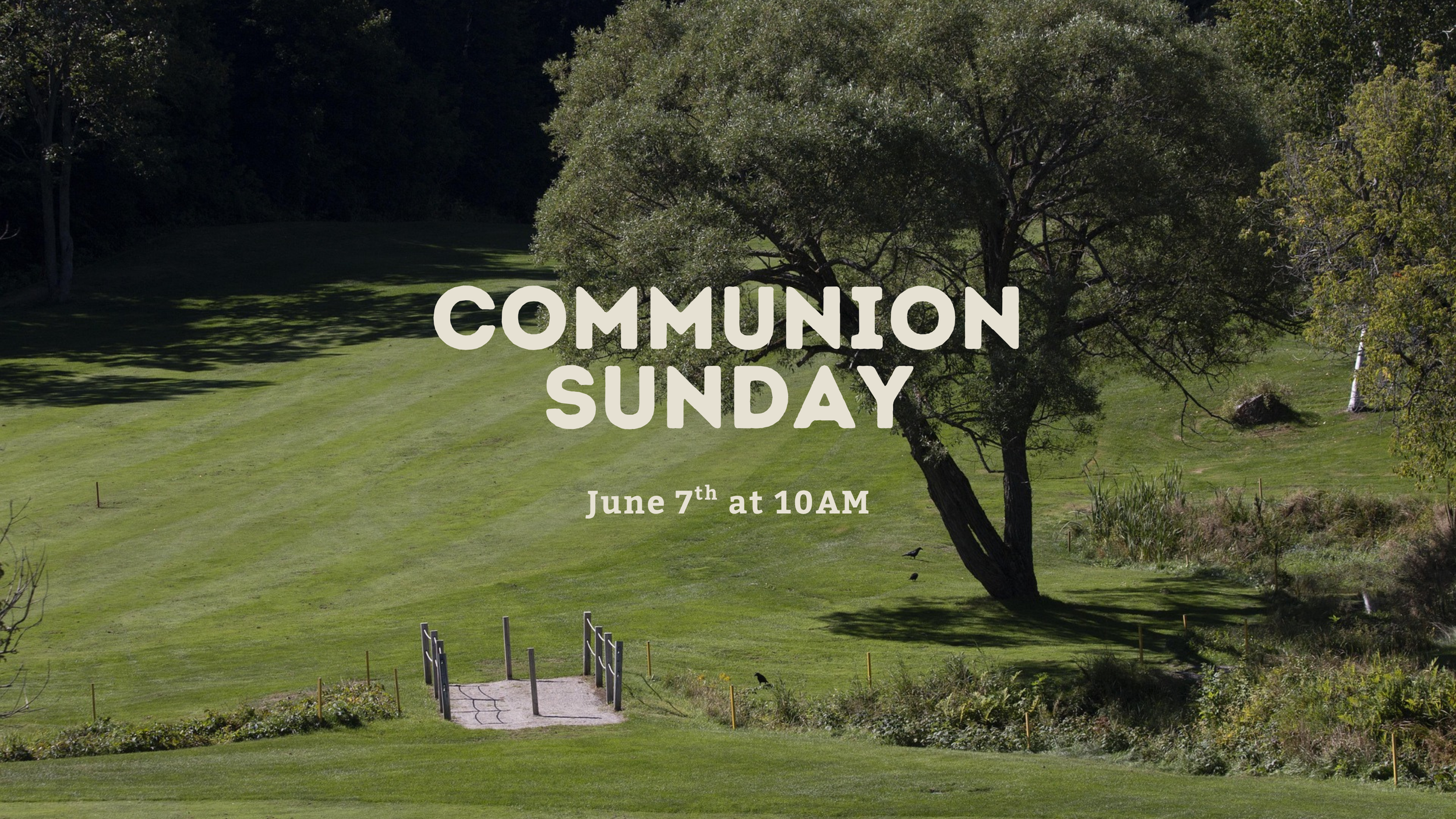 COMMUNION SUNDAY