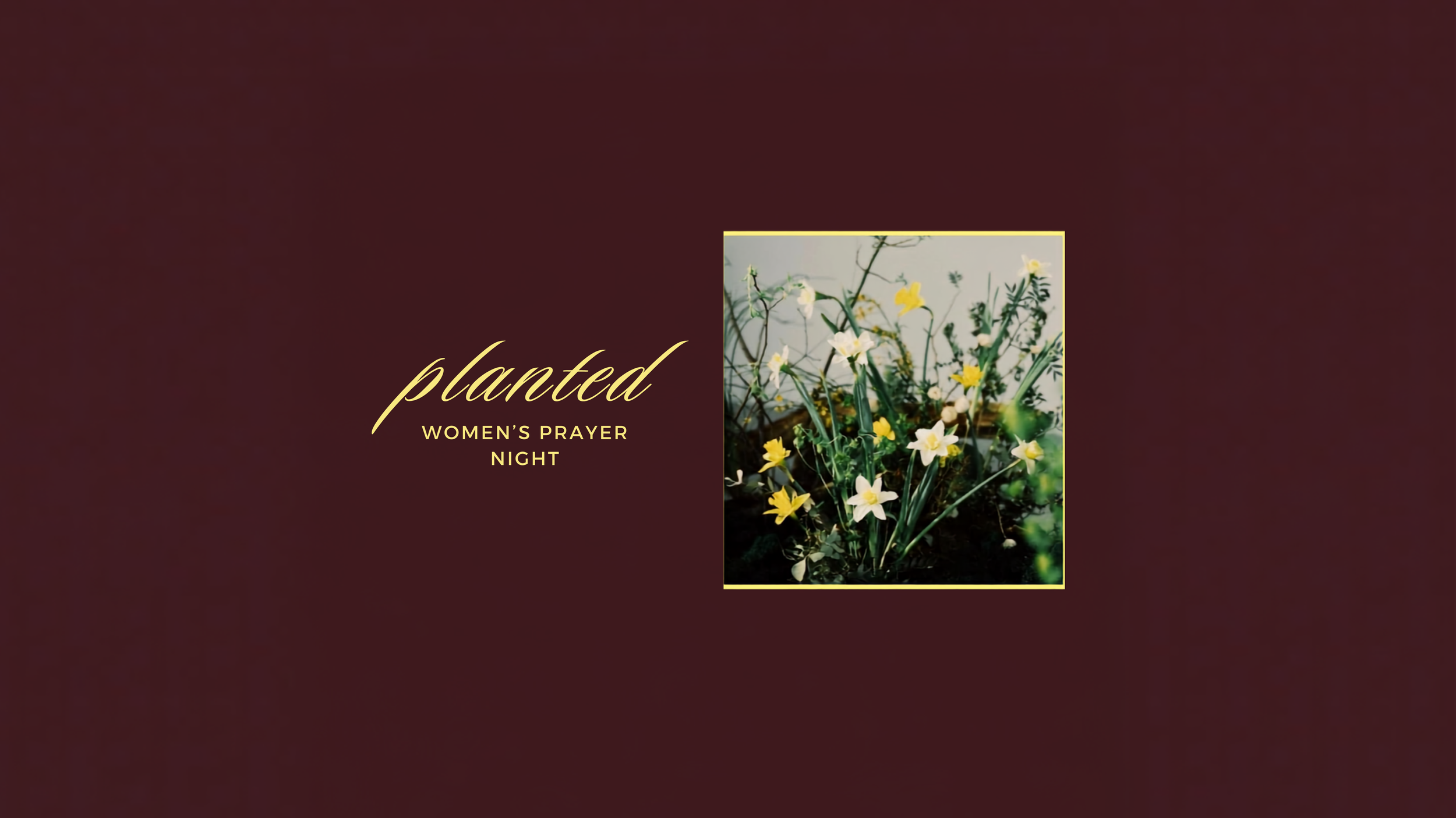 PLANTED : THE WELL Women's Prayer Night